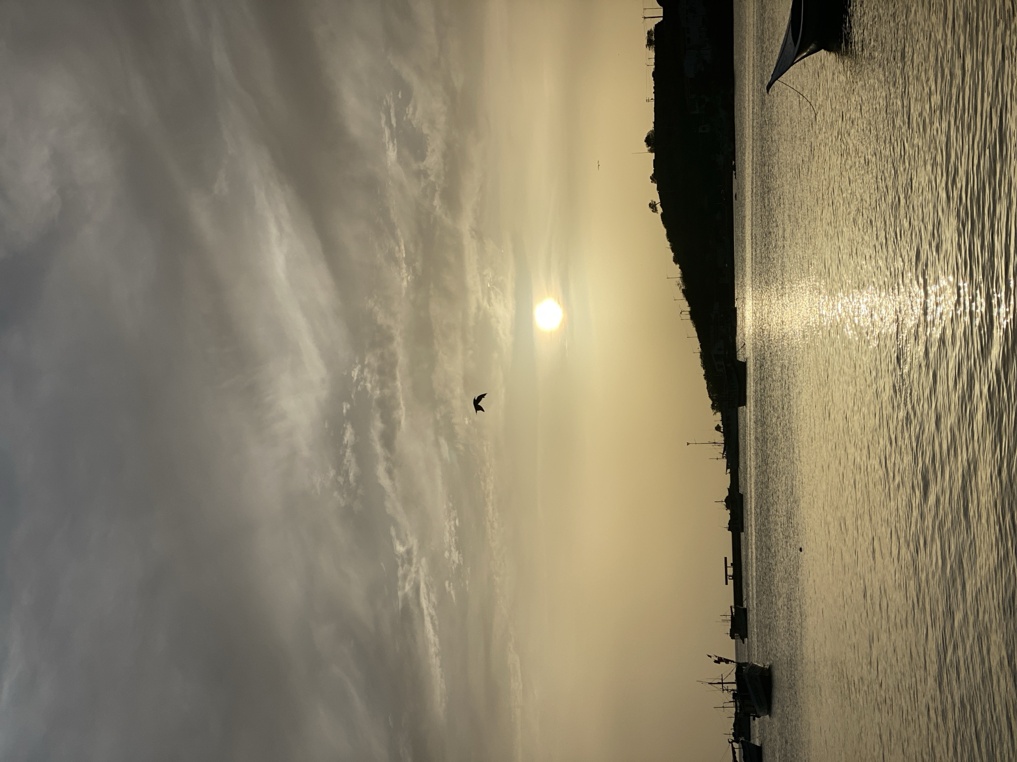 This image depicts a serene sunset over the bay of Juan Griego, Venezuela. The sky is a canvas of muted grays and warm yellows, with streaks of clouds creating a textured expanse. The sun, a bright, almost blinding orb, hangs low in the sky, casting a shimmering golden reflection on the gently rippling water.
Along the horizon, the silhouette of a hilly coastline is visible, dotted with sparse vegetation and the faint outlines of buildings and lampposts. Several fishing boats are anchored in the bay, their dark forms stark against the luminous water. Some boats are moored closer to the shore, while others are further out in the expanse. One boat in the foreground on the right is partially visible, its hull angled towards the viewer, with a rope trailing into the water.
A lone bird in flight is captured mid-air in the upper portion of the frame, adding a dynamic element to the tranquil scene. The overall atmosphere is one of peacefulness and natural beauty, characteristic of a coastal sunset in Juan Griego. There are no people clearly visible in the image.