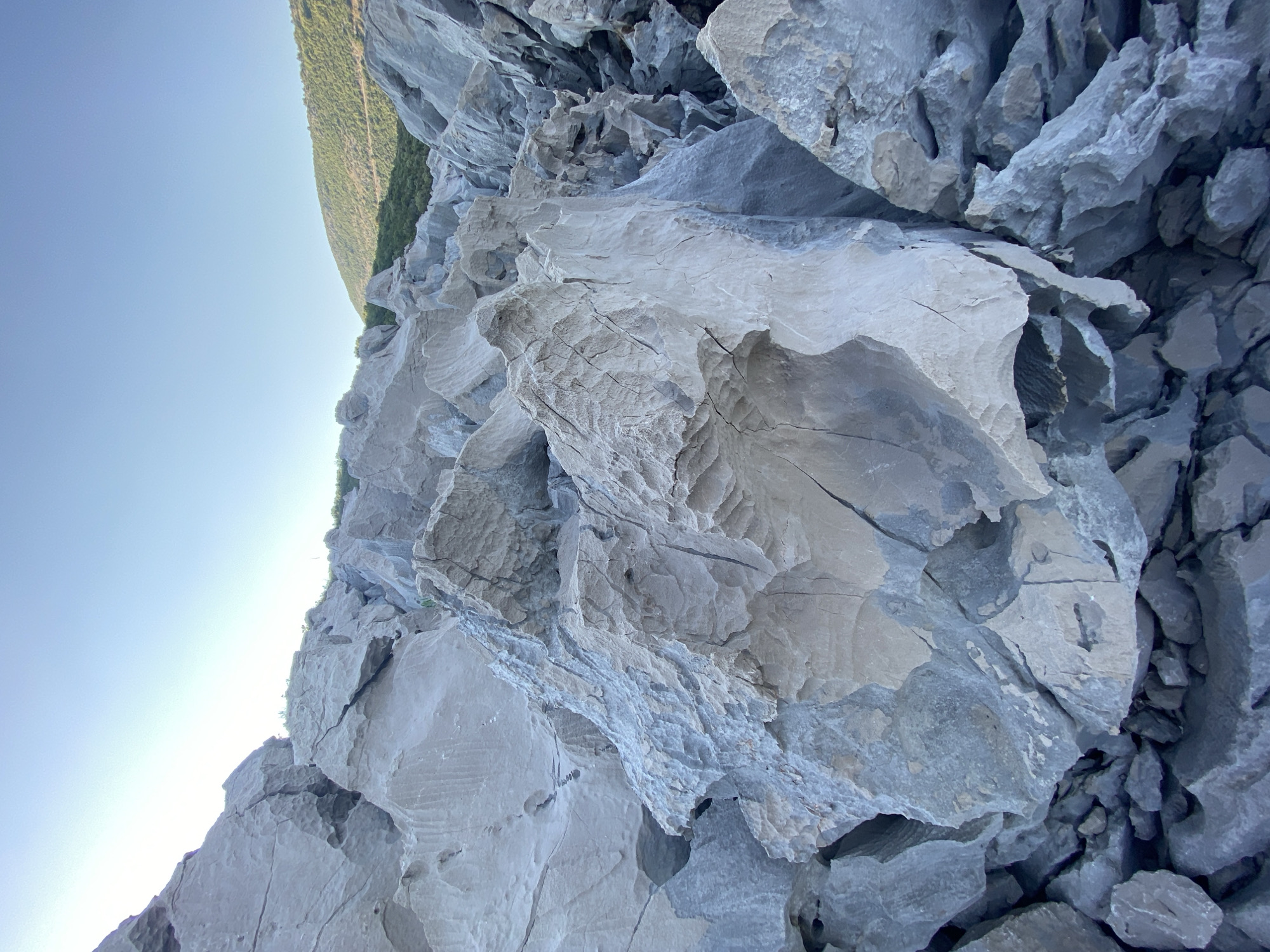 The image is an outdoor, vertically oriented, close-up shot of a rocky cliff face with a clear sky and a distant, green hillside. The rocks are rough and varied in texture, with shades of gray, white, and blue. The sunlight highlights the intricate patterns and cracks in the stone. The sky is a pale blue, suggesting it is daytime, likely morning or afternoon given the clear and bright conditions. The green hillside in the background is covered in vegetation, implying a natural, mountainous, or hilly environment. There is no discernible activity or event taking place; the scene appears to be a still natural landscape. The focus is on the geological formations and the natural light. No text is visible in the image.