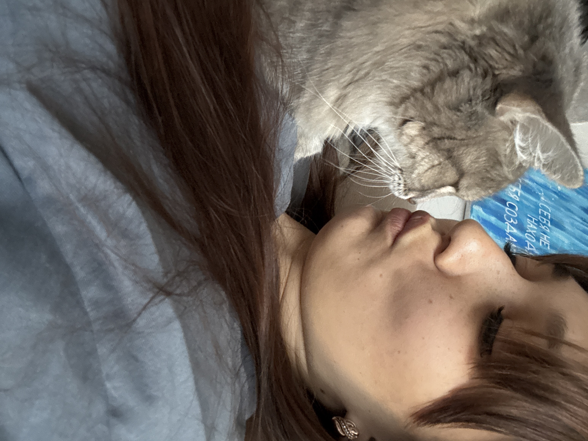 A close-up, shoulder-up shot shows a young woman with auburn hair and closed eyes puckering her lips towards a grey cat. The woman has freckles on her cheeks and is wearing a grey top. The cat is looking away from the camera. In the background, a blue poster with Russian text is visible. The image appears to be taken indoors. There is no specific information in the image to indicate its location in Novokuznetsk, Russia.