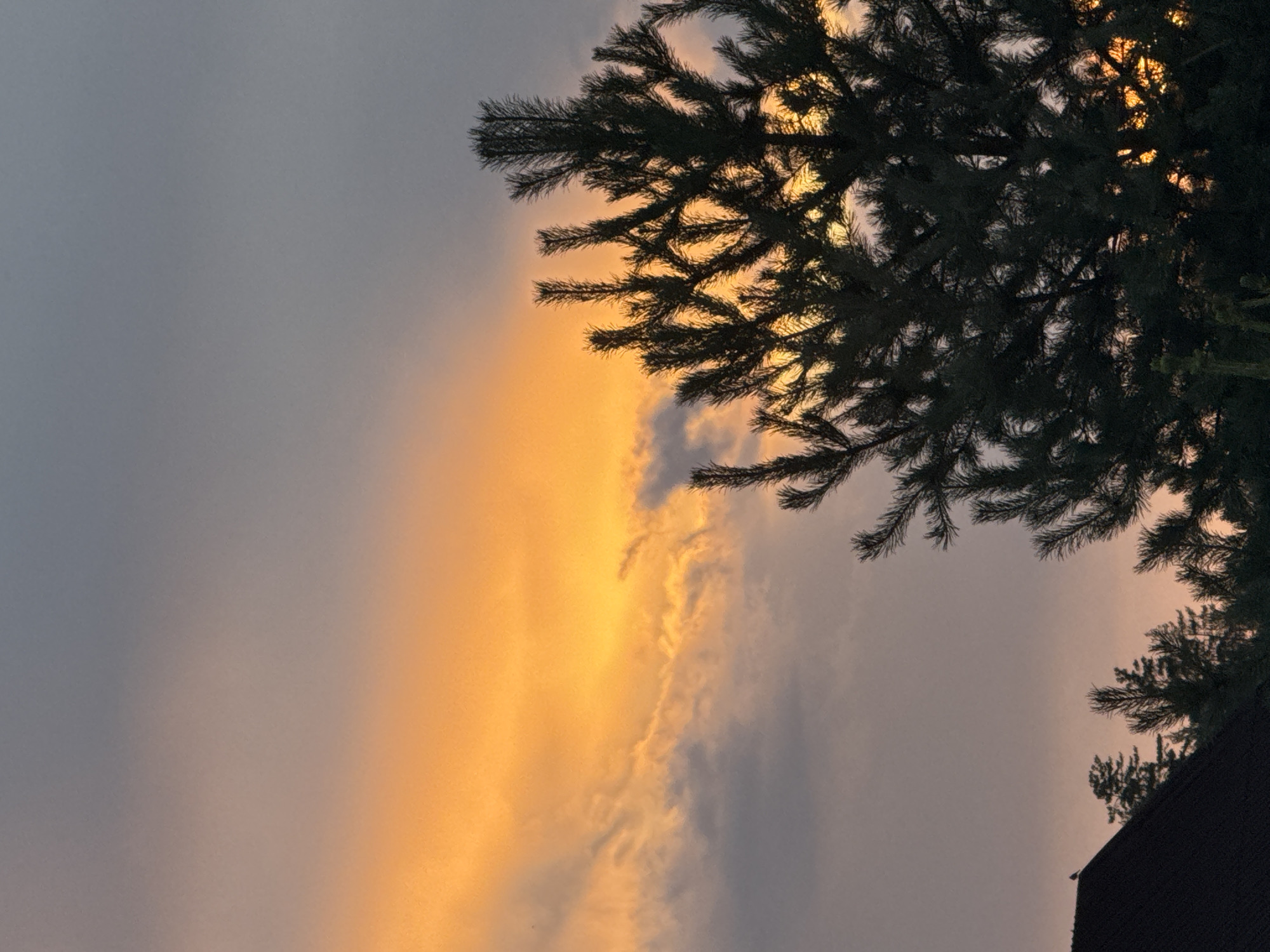 This is a photograph of a sunset over a rural area, likely in the Нёманскі сельскі Савет, Belarus. The sky is dominated by a band of bright orange light, tinged with yellow, that stretches horizontally across the upper portion of the image. This light emanates from the setting sun, which is obscured by clouds. The clouds themselves are a mix of dark grey and lighter grey, with some wispy formations visible.
In the foreground, silhouetted against the dramatic sky, is the dark green foliage of a conifer tree, likely a pine. The branches and needles of the tree are sharply defined, and through the gaps in the foliage, the orange glow of the sunset is visible, creating a dappled effect.
To the lower left of the frame, a dark, angled rooftop is visible, suggesting the presence of a building. A small, dark-colored bird is perched on the peak of this roof. Behind the roofline, the tops of other evergreen trees can be seen, also silhouetted against the sky. The overall impression is one of a tranquil, natural scene at the end of the day.