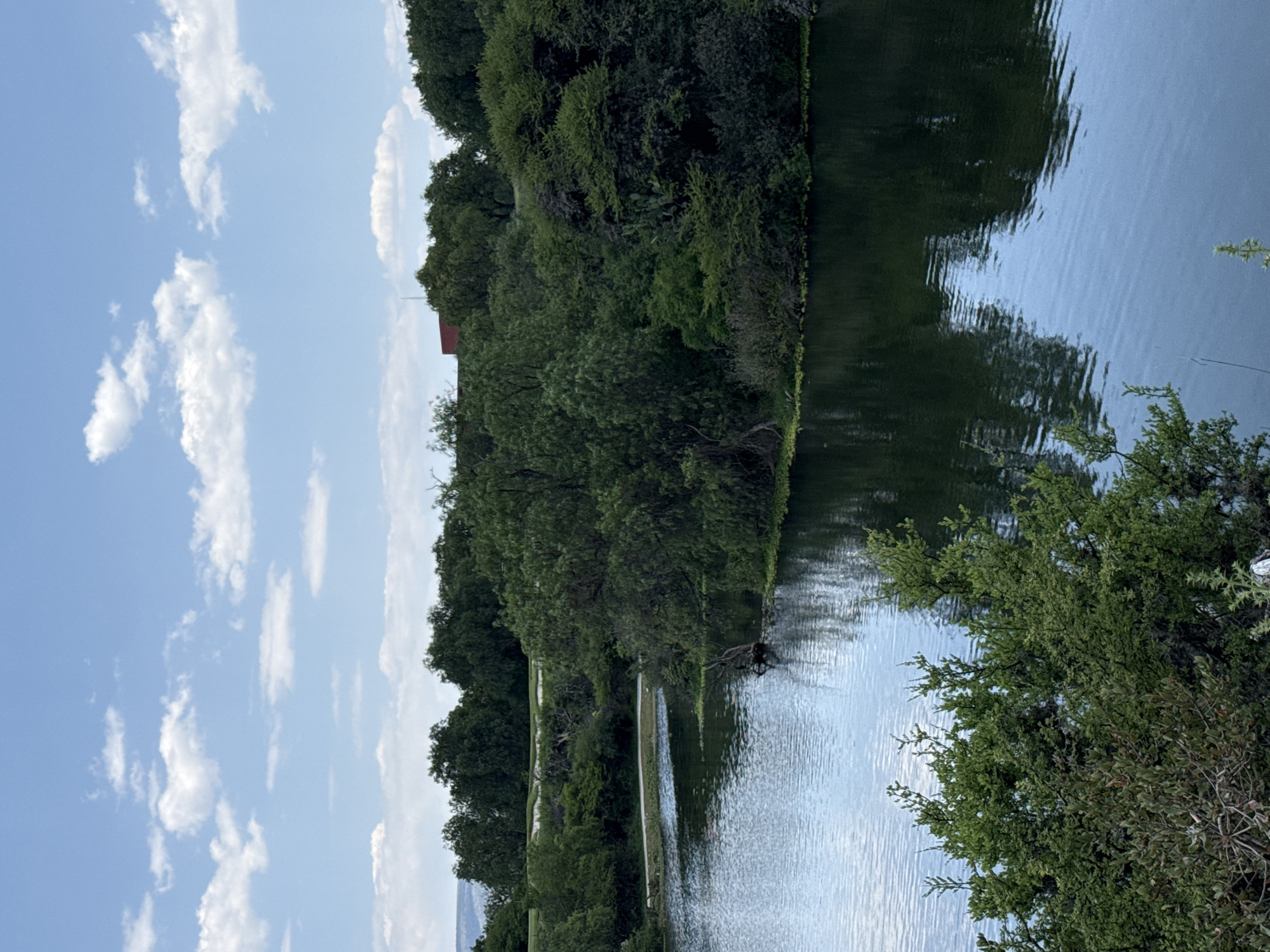 A tranquil landscape scene depicts a body of water, likely a river or lake, bordered by lush green trees under a bright sky. The sky, occupying the upper portion of the image, is a clear blue adorned with scattered, fluffy white cumulus clouds, suggesting fair weather.
The water surface is calm but features gentle ripples, effectively mirroring the blue sky and the dark green foliage of the trees lining its banks. Reflections of the clouds are also visible on the water.
The far bank is densely covered with a variety of green trees, creating a thick, verdant barrier. Among these trees, a small building or structure with a distinct red roof is partially visible, adding a touch of man-made presence to the natural setting. Along the water's edge on the far bank, a light-colored, possibly sandy or paved path or structure runs parallel to the water for a segment, and a fallen tree branch extends into the water from the bank. On the near side, closer to the viewer, more green foliage and bushes are present, partially framing the water.
The time of day appears to be daytime, likely late morning or afternoon, given the bright illumination and visible cloud formations. There is no explicit activity or event taking place, and no people or visible text are present in the image. The scene evokes a sense of peace and natural beauty, consistent with an outdoor setting such as Pueblo Nuevo de Jasso, Mexico.