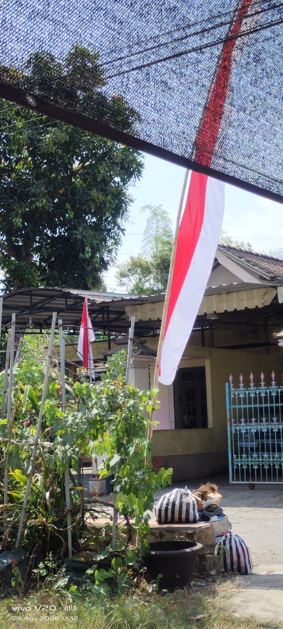 In Simo, Indonesia, a vertical Indonesian flag, predominantly red and white, is displayed on a bamboo pole. The flag extends from the upper right corner of the image, partially obscured by a black mesh shade that covers a larger area above. In the background, a simple house with a light-colored wall and a peaked roof is visible. A green metal gate stands to the right of the house. In the foreground, lush green foliage, possibly a vine, grows around metal poles. Several black and white striped bags, appearing to be storage bags or sacks, are placed on a low stone structure. A large black pot is situated next to the stone structure. The ground is a mixture of dirt and dry grass. The scene is illuminated by natural sunlight, casting shadows. A camera date stamp indicates "vivo V20 · ella 26 Agu 2026 13.12".