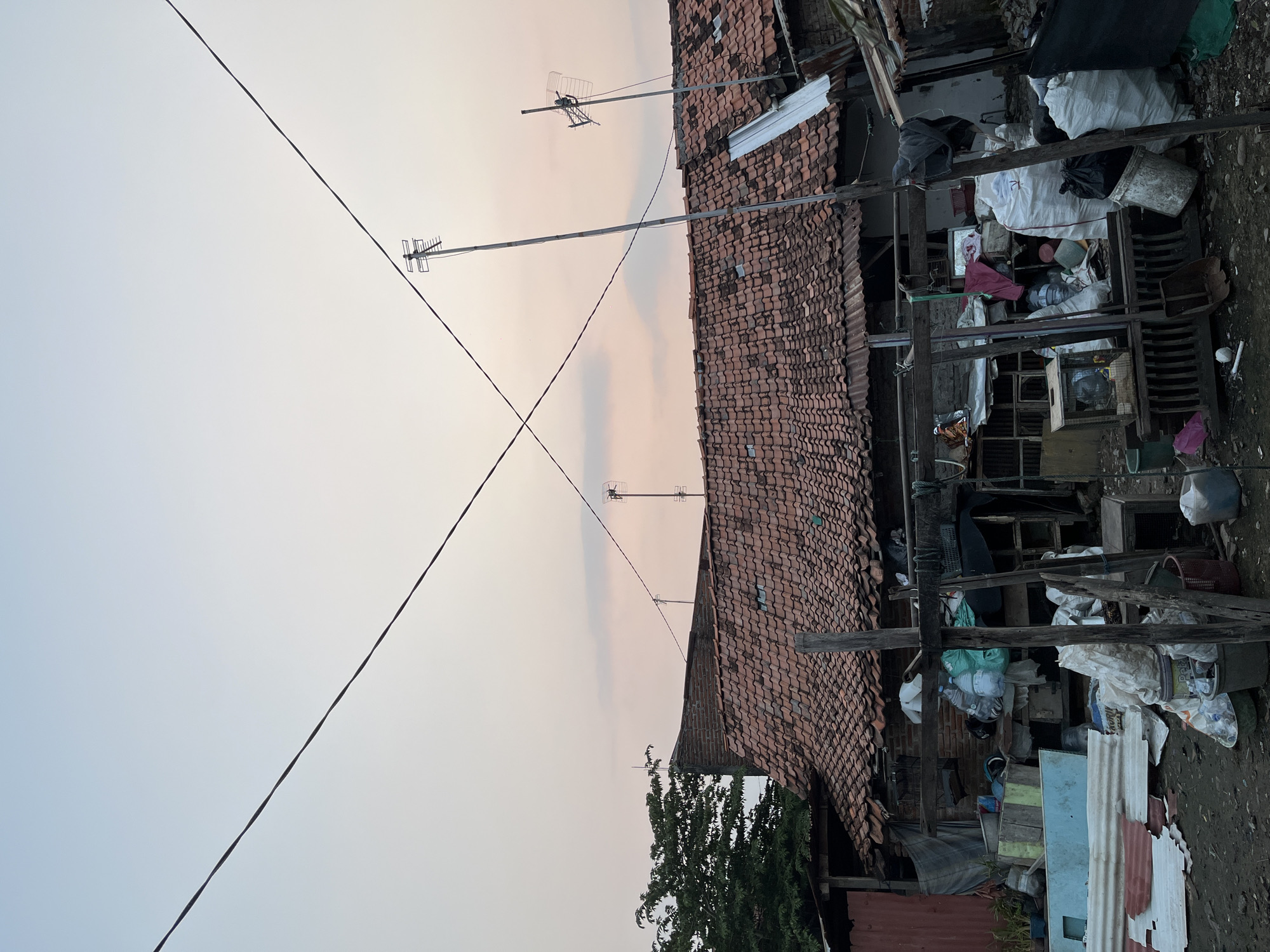 This image depicts a cluttered outdoor area behind some residential structures in Pekalongan, Indonesia. The foreground is filled with various discarded items, including plastic bags, bottles, containers, and what appears to be scrap metal and building materials. There is a prominent wooden structure in the mid-ground, possibly a makeshift shelving unit or support for overhead items, laden with more debris, including large white sacks, bags of what could be garbage, and some fabric. Behind this, we see the back of a dwelling with a tiled roof, appearing somewhat dilapidated, with visible brickwork. Several television antennas are mounted on poles, suggesting this is a residential area. The overall impression is one of a living space with significant accumulation of refuse and disused items. The sky above is a soft, pale gradient, indicating either dawn or dusk. No people are visible in the frame.