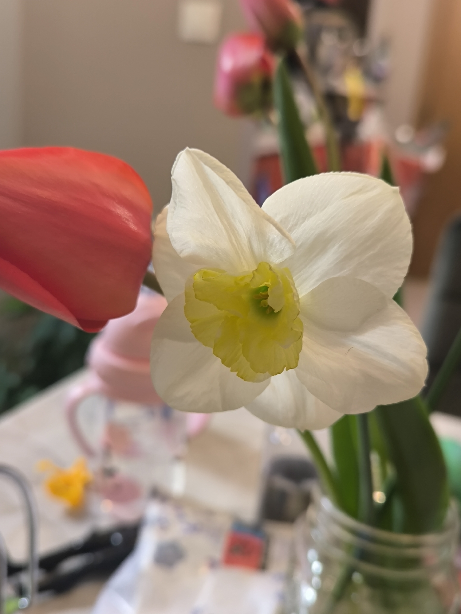 A close-up shot of a white daffodil with a yellow center, next to a red tulip. The flowers are in a glass jar filled with water. There are other objects in the background, including a pink baby bottle, a small yellow toy, and other flowers. The location appears to be indoors, possibly a home. There is no information indicating that the image was taken in Sofia, Bulgaria.