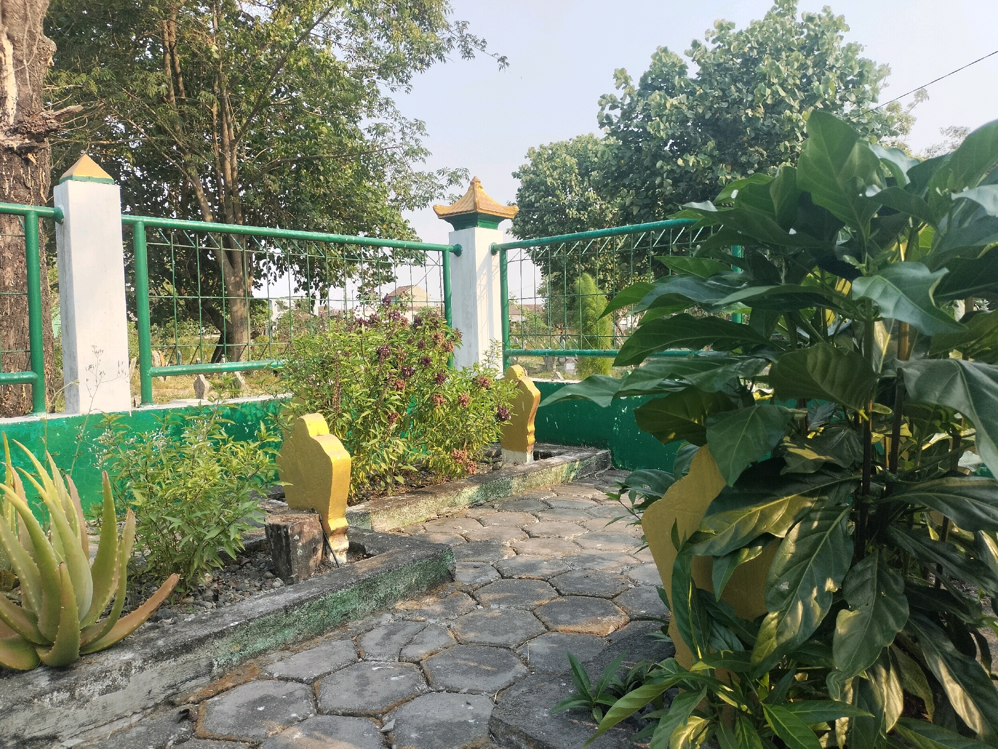 The image depicts an outdoor scene at the Wedung Cemetery in Wedung, Indonesia. In the foreground, a pathway paved with hexagonal grey interlocking stones leads into the scene. To the left of the pathway is a small planter with an aloe vera plant and gravel. Adjacent to the planter are two yellow, tombstone-like markers. Further into the scene, behind the pathway, is a green metal fence with white pillars topped with yellow, pagoda-style caps. Bushes with small purple flowers are planted behind the fence, and more yellow markers are visible. To the right of the pathway, a large plant with broad green leaves is prominent. Trees with green foliage are visible in the background, under a clear, light blue sky. The overall environment suggests a well-maintained outdoor space, likely a cemetery.