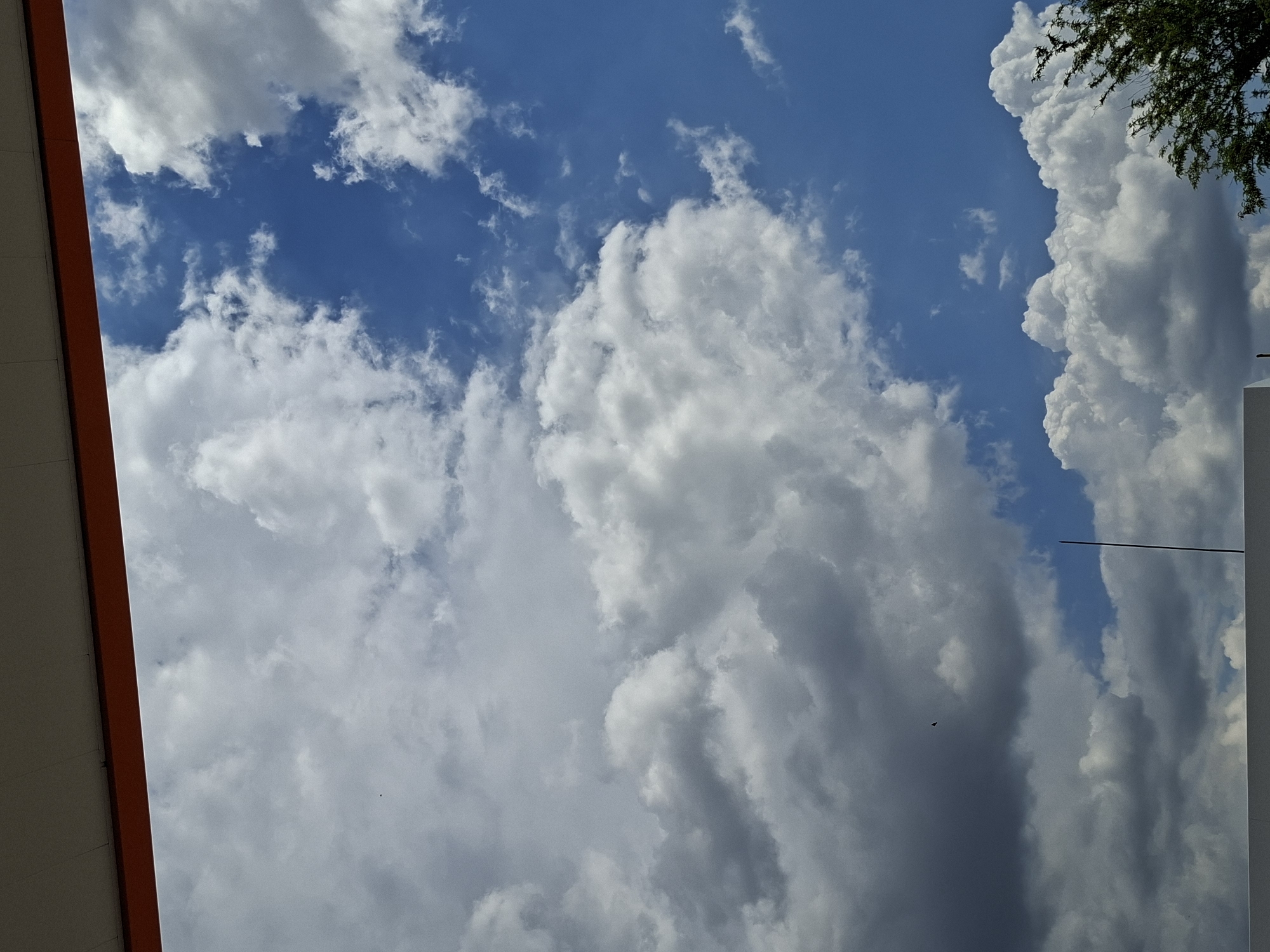 The image is a vertically oriented shot of the sky, taken from a low angle, likely from ground level. The sky is blue with a variety of white and grey clouds, some of which are large and dense, suggesting potential for rain. A corner of a building is visible in the lower-left corner, featuring a white facade and orange trim. In the upper-right corner, part of a tree with green foliage is visible along with a structure. The overall light suggests it is daytime.
While the location is specified as Plovdiv, Bulgaria, there is no visual information in the image that confirms this location.