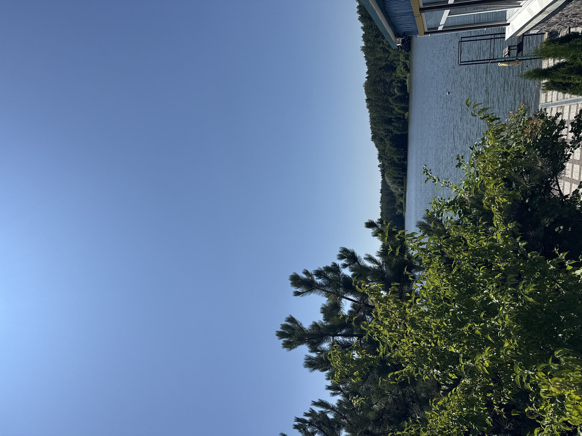 This is an outdoor, eye-level, wide-angle shot of a body of water in Tiutky, Ukraine, under a clear blue sky. In the foreground, on the left side, is lush green foliage from a tree. Behind the foliage, a darker green coniferous tree is visible. A wooden deck or pathway is present at the bottom of the frame. To the right of the image, a blue building with a window and a stone foundation is situated. Beyond the deck and building, a calm lake stretches out. The far shore of the lake is lined with a dense forest of green trees. A small white buoy is visible on the surface of the lake. A metal structure with a bench and a life preserver is located near the building on the right. The overall scene depicts a serene natural setting by the water.