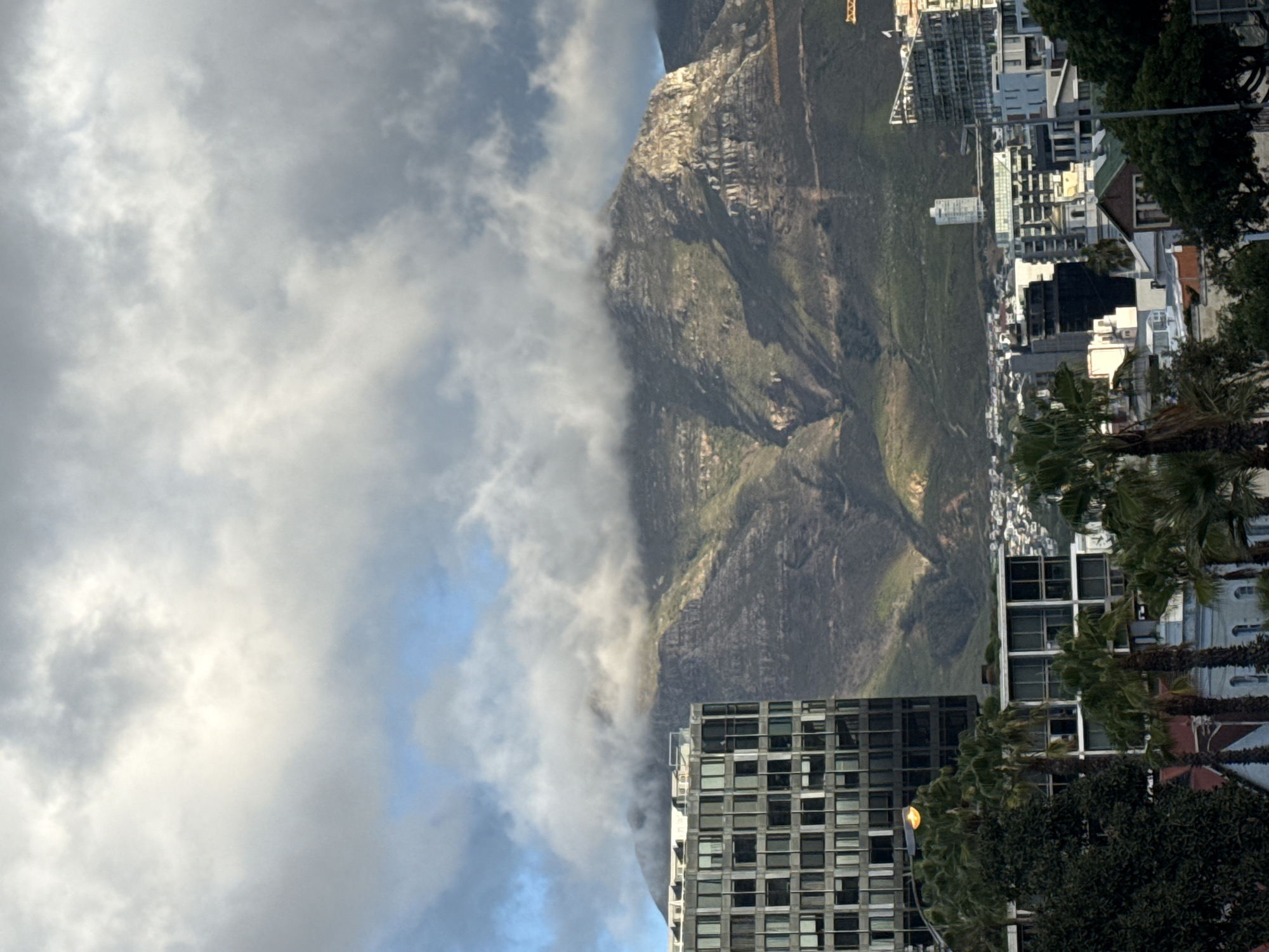 The image shows a view of Table Mountain partially obscured by clouds, likely taken from the city of Cape Town, South Africa. The mountain rises dramatically behind buildings. A modern building with a grid-like facade is visible in the foreground. Trees, including palm trees, and residential houses are interspersed amongst the buildings. The sky is filled with white and gray clouds.