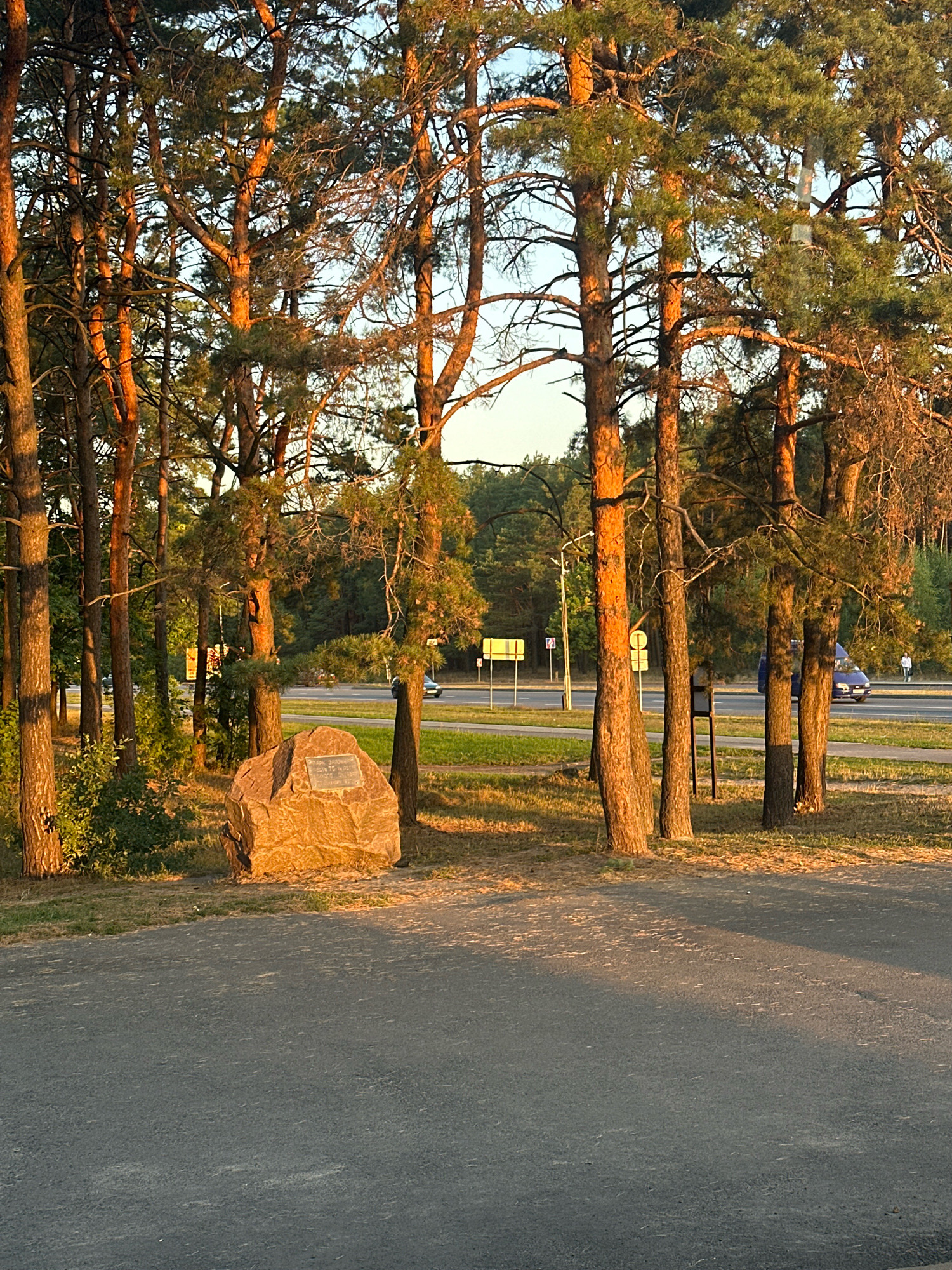 This is a medium-shot, eye-level, vertical photograph of a memorial stone situated among pine trees, with a road and a forest in the background. The memorial stone, a large, rough-hewn boulder with an inscribed plaque, is positioned in the foreground to the left of center. It is illuminated by the warm, golden light of what appears to be late afternoon or early morning sun. The inscription on the plaque is partially obscured by the angle and resolution of the image, but appears to be in Cyrillic script.
Behind the stone, a dense cluster of tall pine trees dominates the middle ground. Their trunks are slender and straight, with rough, reddish-brown bark. The sun filters through their needles, casting dappled shadows and highlighting their branches. The trees are so close together that their branches intermingle, creating a textured canopy.
Beyond the trees, a paved road runs horizontally across the frame. There is a grassy verge between the trees and the road. A few vehicles are visible on the road; a blue sedan is in the middle ground to the right, and a person is walking on the sidewalk on the far right. Several road signs, typically yellow and black, are also present along the roadside.
In the distance, a dark green forest stretches across the horizon. The sky above is a pale blue, with a few wispy clouds. The overall impression is one of a natural setting adjacent to a populated area, possibly a park or the edge of a town.
The location of this memorial stone is in Pinsk, Belarus. It is situated near a road, likely a place of historical significance for the city, given the presence of a memorial.