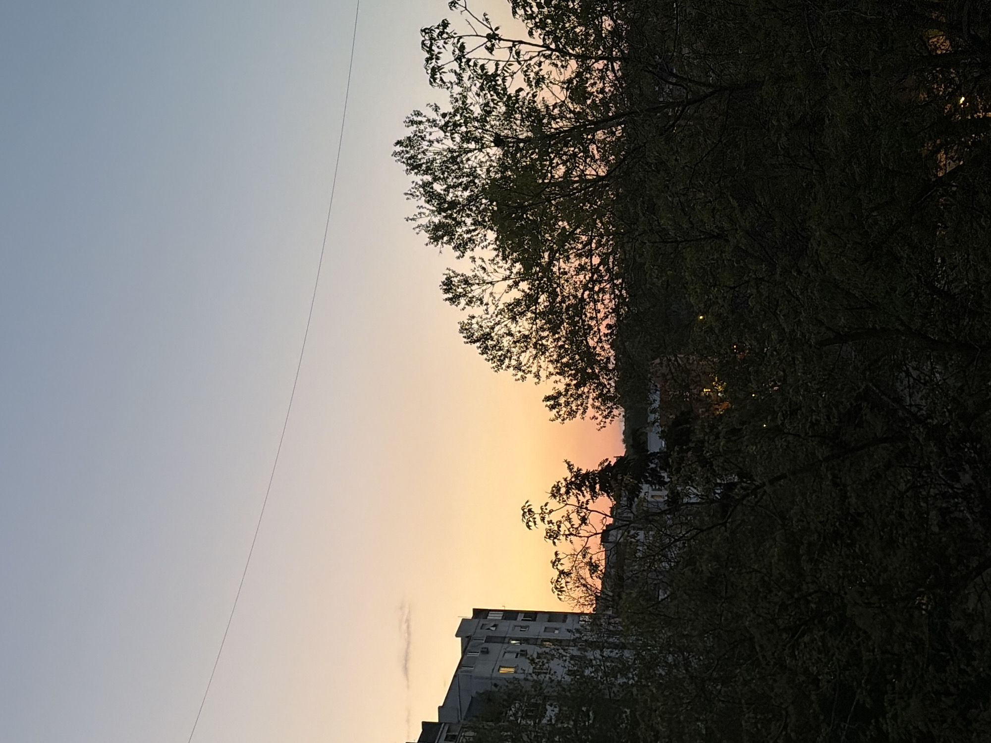 The image shows a view of Belgrade, Serbia at sunset. The sky is a gradient of colors, transitioning from light blue to orange near the horizon. A powerline stretches across the upper left portion of the frame. A building is visible in the lower portion of the image with illuminated windows. Silhouetted tree branches fill the right side of the image.