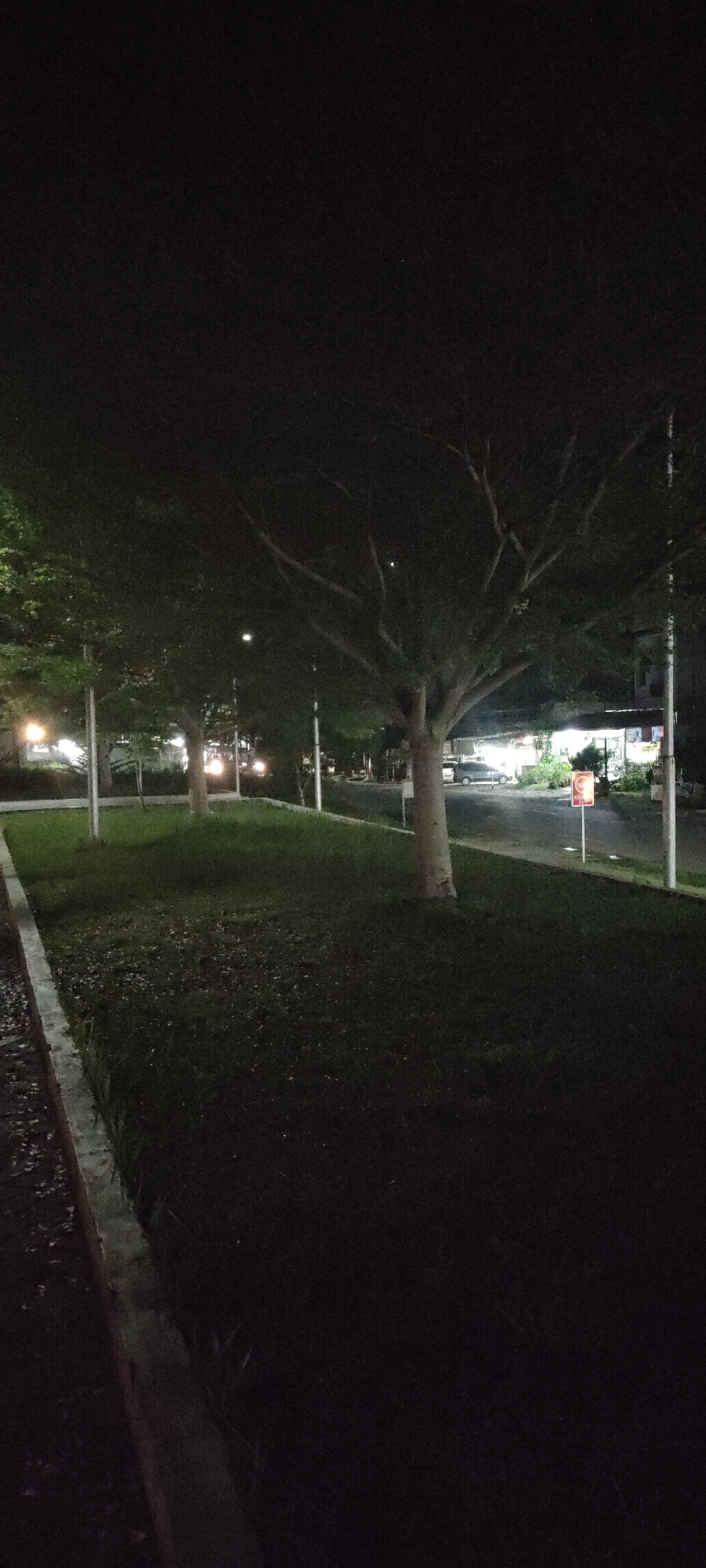 The image shows a nighttime scene along a street in Lhokseumawe, Indonesia. The foreground is dominated by a dark green patch of grass that slopes upwards. A concrete curb or sidewalk edge is visible along the left side. Several trees are planted in the grassy area, their trunks visible as light gray vertical forms against the darkness. Streetlights illuminate sections of the street and the surrounding area. A building, possibly a shop or restaurant, is visible in the background, with lights emanating from its windows. A sign is present on the right side of the street near the building. Two cars are present on the street, their headlights on.
