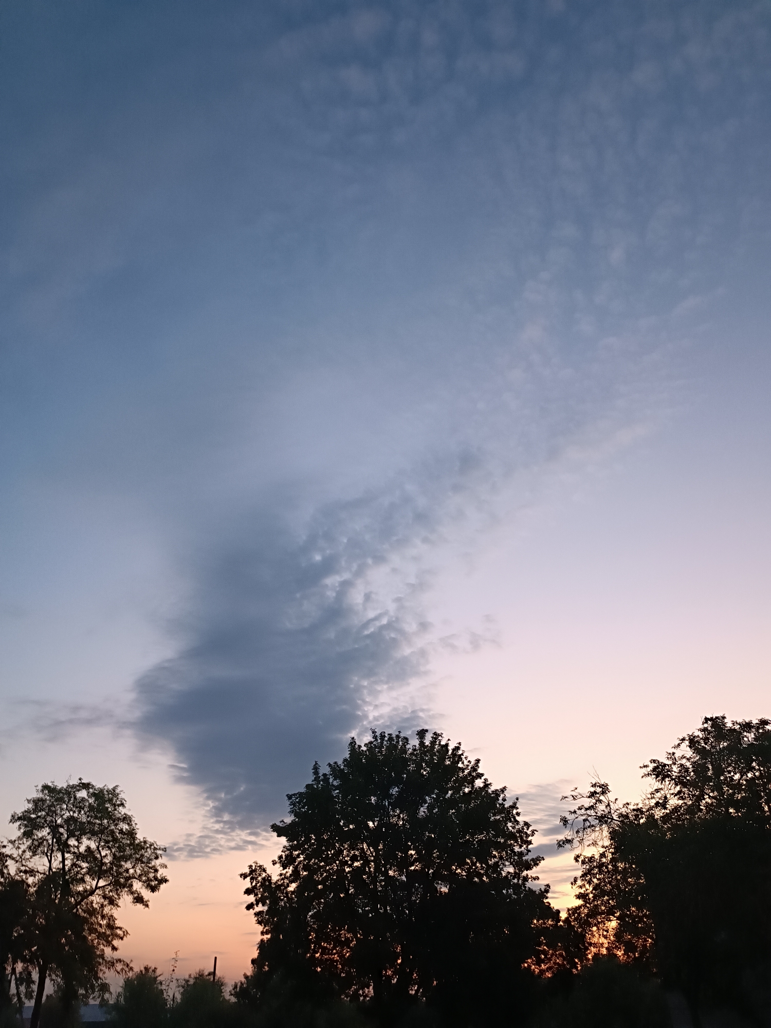 A low-angle, eye-level shot captures a tranquil sunset scene with silhouetted trees against a gradient sky. The sky transitions from a pale blue at the top, transitioning into soft hues of pink and orange near the horizon, indicating either sunrise or sunset. Scattered clouds, some dark and wispy, others light and feathery, drift across the sky, adding texture and depth. In the foreground, the dark silhouettes of various trees and foliage create a natural border at the bottom of the frame. The overall impression is one of peacefulness and natural beauty.