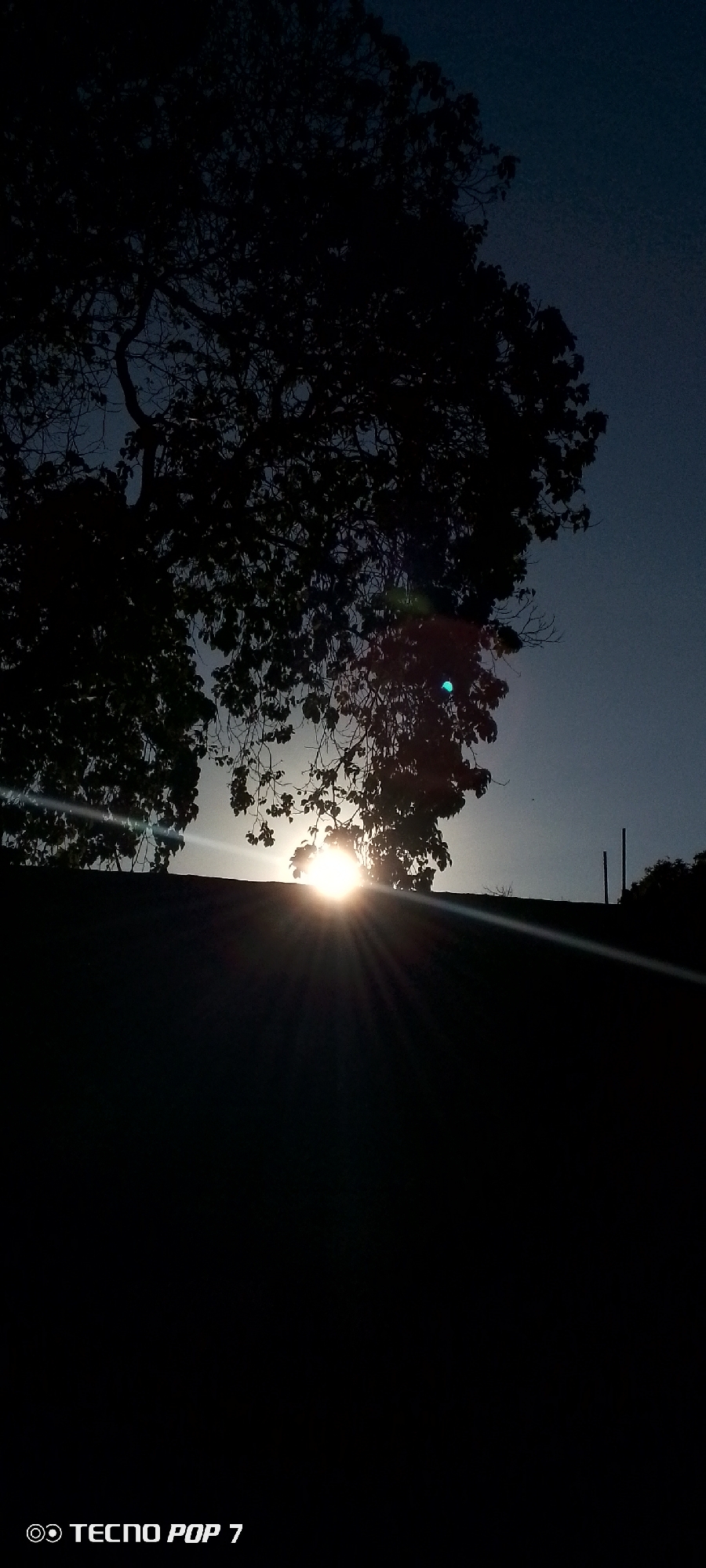 A dark image, taken outdoors in Altagracia, Venezuela. A large tree silhouetted against the horizon, with the setting sun partially obscured by branches. The ground in the foreground is in complete shadow. Two posts, partially visible on the horizon, are right of the sun. The sky is a pale shade of blue, brighter close to the sun.