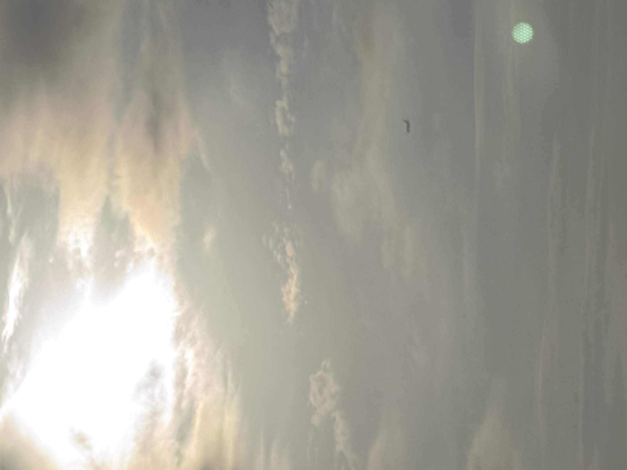 The image shows a sky with clouds and the sun shining brightly. The sky is mostly gray and white with a hint of yellow light from the sun. There is a small object in the sky that could be a bird. The location is not specified, but it is mentioned that it could be in the city of Sochi, Russia. The image is oriented vertically. There is a blurred green dot near the top right.