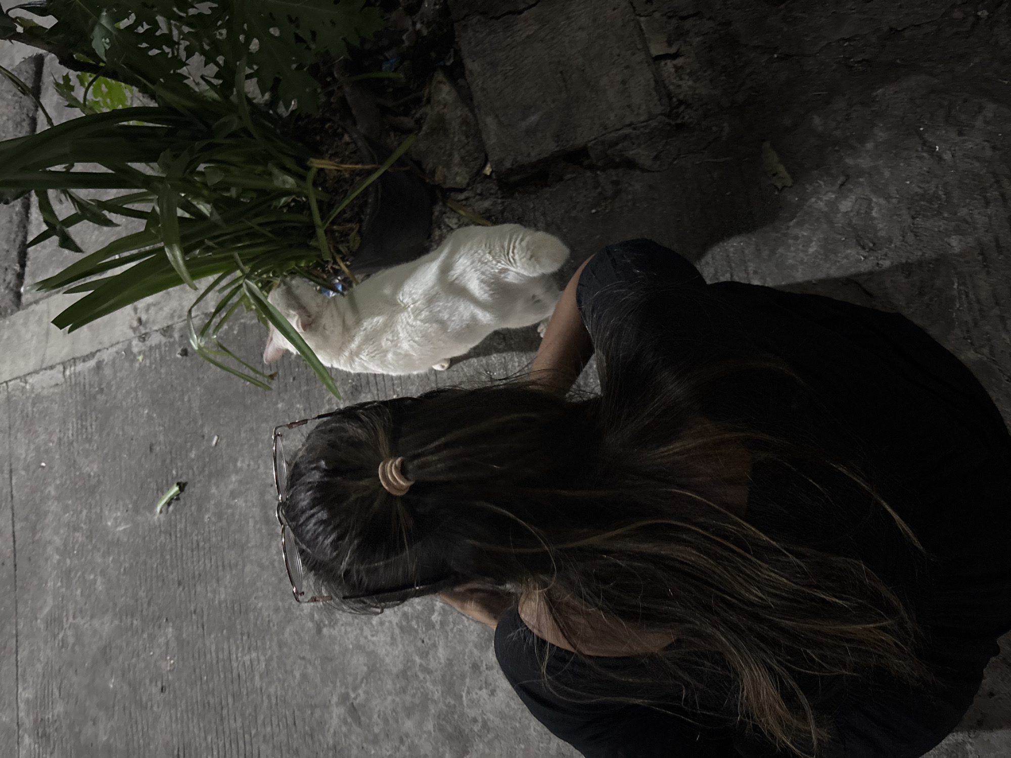 An overhead shot reveals a woman in a black shirt standing on a cracked concrete surface. Her long brown hair is pulled back with a hair tie, and she wears glasses. Next to her is a white cat with a blue collar, near a plant in a black pot. The surroundings are dimly lit. The location is in the city of North Jakarta, Indonesia.
