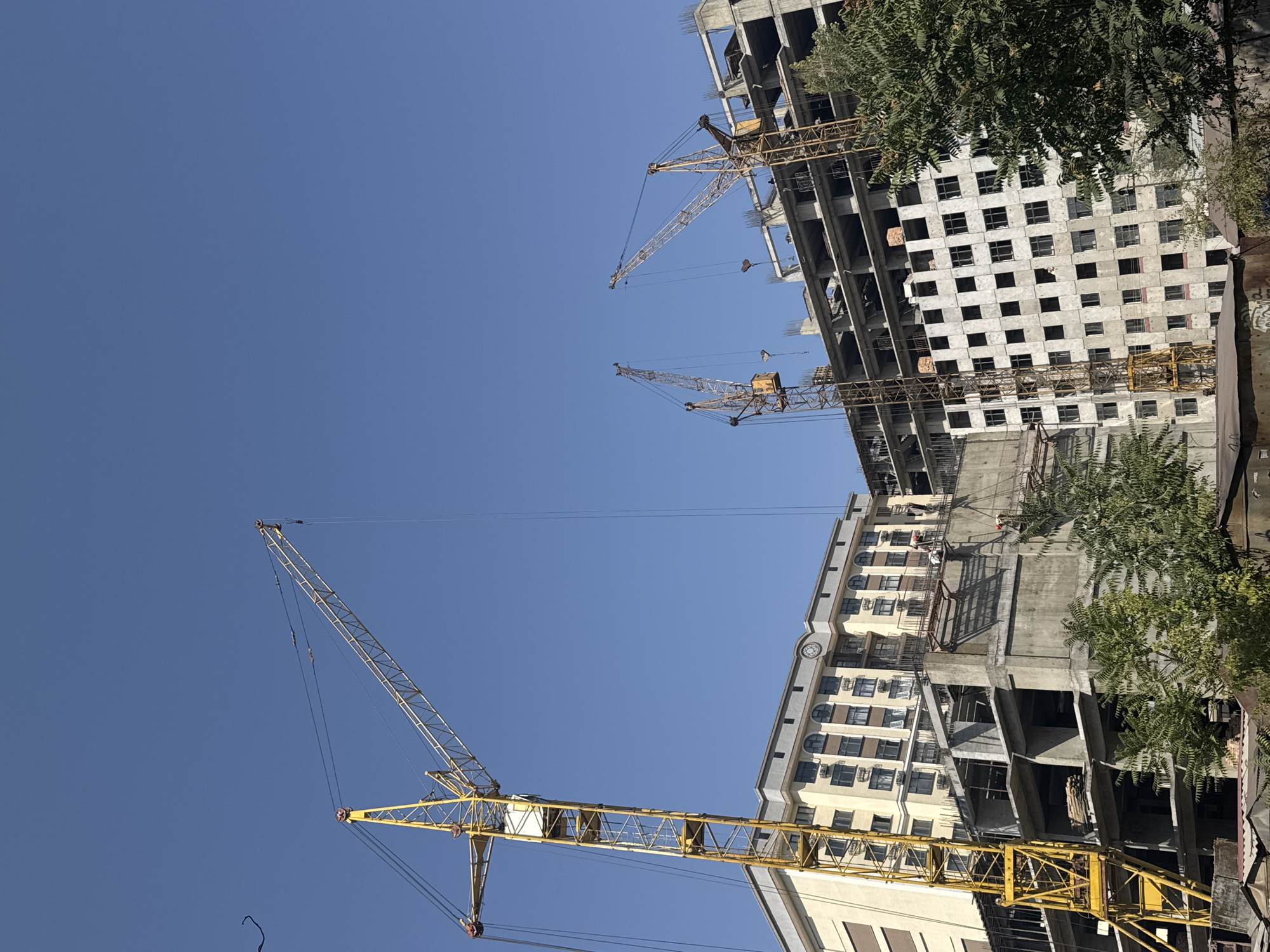 This image captures a construction site in Bishkek, Kyrgyzstan, under a clear blue sky. Multiple construction cranes, notably a tall yellow one on the left, are visible. One crane is positioned over a partially constructed building with visible concrete floors and rebar. Another building, appearing more complete, features a facade with numerous windows and a clock face. In the foreground, lush green trees partially obscure the lower levels of the construction site. The scene suggests active construction work is in progress, with some workers appearing on the upper floors of the buildings.