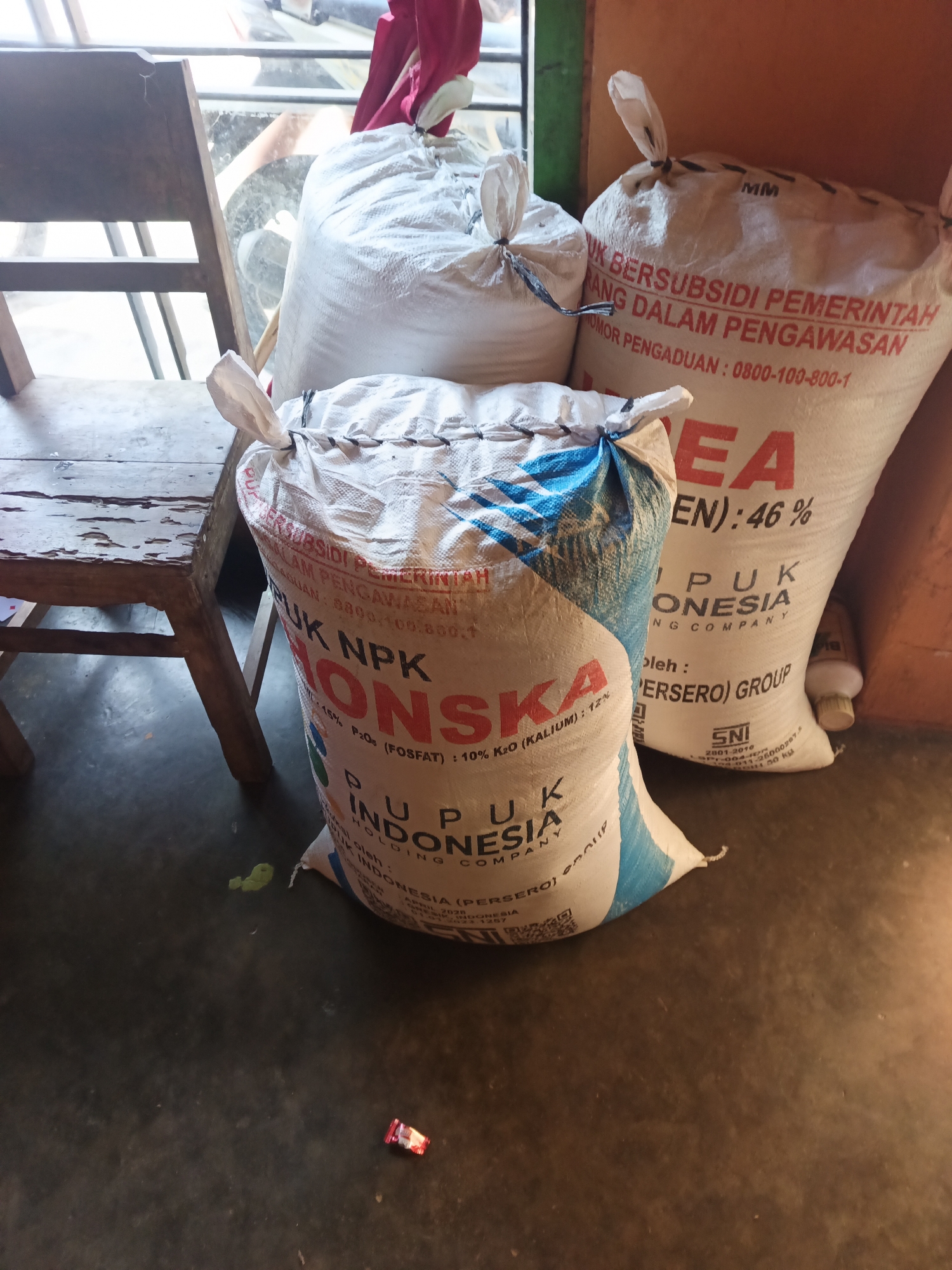 In the city of Terbanggi Marga, Indonesia, this image depicts an indoor scene, likely a storage area, featuring three large white sacks of fertilizer. A wooden chair with weathered planks is positioned to the left, partially obscuring the sacks. The sacks are made of woven material and are tied shut with string.
The largest sack, in the foreground and center, is white with a blue and white patterned band. Red lettering on this sack reads "U.P. NPK IONSKA," followed by "PUPUK INDONESIA HOLDING COMPANY." Below this, further text indicates "P2Os (FOSFAT): 10% K2O (KALIUM): 12%." Another part of the text reads "DIPRODUKSI OLEH: PT PUPUK INDONESIA (PERSERO) GROUP." A QR code is also visible.
To the right of this central sack, another large white sack displays prominent red lettering stating "BERSUBSIDI PEMERINTAH DALAM PENGAWASAN." Beneath this, a phone number "0800-100-800-1" is printed. Part of the word "AREA" is visible in large red letters, followed by "(EN): 46%". Further down, it reads "PUPUK INDONESIA HOLDING COMPANY."
A third, smaller white sack is positioned behind and to the left of the central sack, also tied with string. A glimpse of red fabric is visible tied to the top of this sack.
The floor is dark gray and appears to be concrete, with some scattered debris including a small green item and a red and silver candy wrapper in the lower right corner. The background consists of a wall painted orange and a window with bars, through which some outdoor light is entering. The overall impression is a utilitarian setting where agricultural supplies are stored.