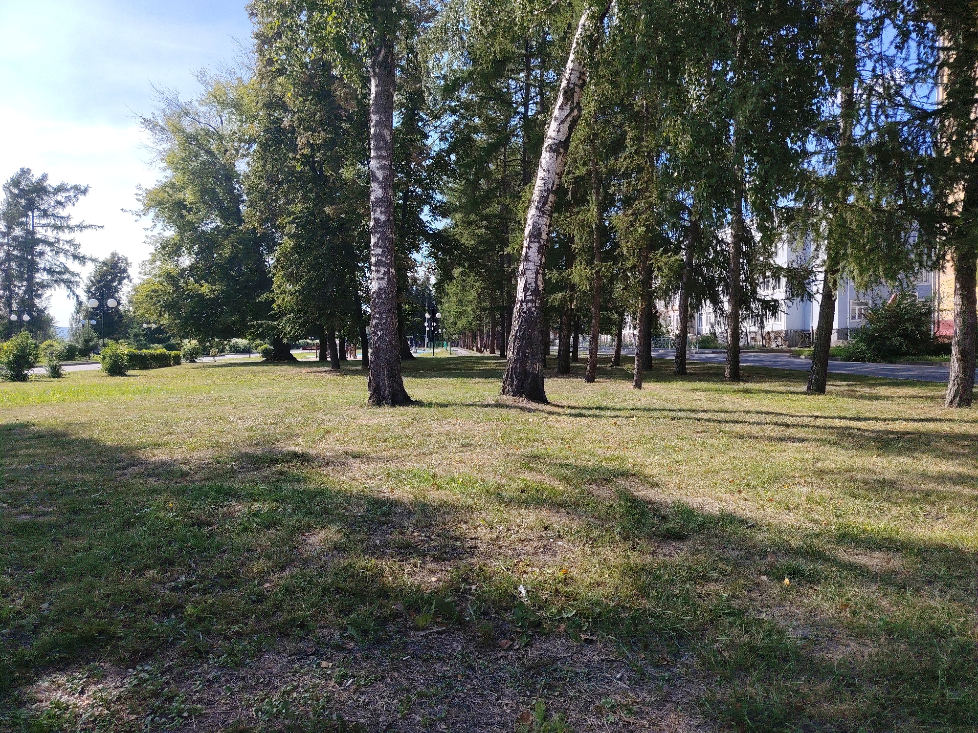 The image depicts a park area with a paved pathway winding through a grassy lawn. Tall trees, including birches and evergreens, line the pathway, casting shadows on the ground. In the background, several multi-story buildings are visible. The sky is clear and blue, suggesting a sunny day. The scene appears to be a public park, possibly in a residential area of Kemerovo, Russia, given the architectural style of the buildings. There are no people visible in the image, and the environment is quiet and serene. The grass is a mix of green and dry patches, indicating it might be late summer or early autumn.