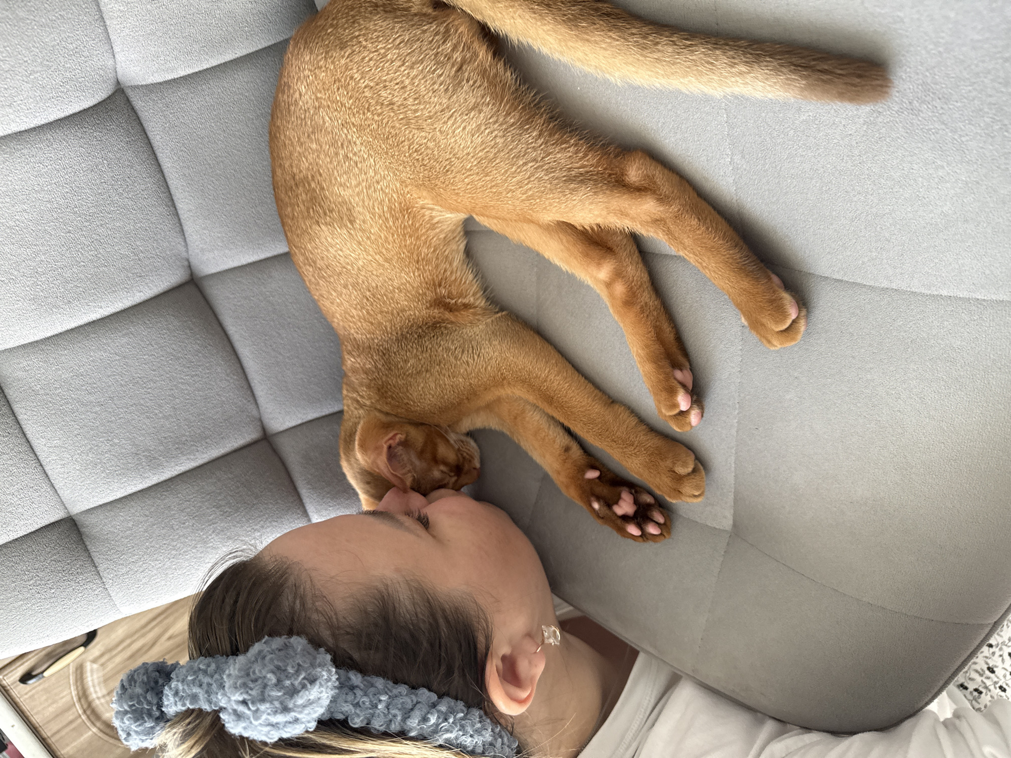 In this overhead shot, a person and a ginger cat are shown in a moment of affectionate interaction. The person is lying down, with their head tilted upwards, and their eyes are closed. They are wearing a grey fuzzy headband with ear-like protrusions. A small earring is visible on their right ear.
The cat, an Abyssinian with ginger fur, is also lying down, positioned above the person. Its head is lowered, and it appears to be nuzzling the person's nose or cheek. The cat's body is stretched out, with its paws visible. One paw is extended, revealing its pink toe beans.
They are on a grey couch with a quilted texture. The background is predominantly the couch, with hints of a patterned surface and white fabric at the bottom of the frame, suggesting it could be a bed or another piece of furniture.
The lighting suggests it is daytime, likely indoors. The scene evokes a sense of tenderness and comfort between the person and the pet. The overall mood is peaceful and intimate. No visible text is present in the image. The location context indicates the setting is Stary Oskol, Russia.