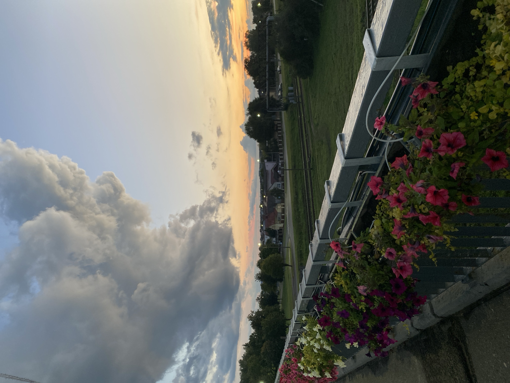 The image depicts a panoramic view of Lida, Belarus, at dusk. The foreground is dominated by a railing adorned with a vibrant display of potted petunias in shades of pink, magenta, and white. The railing itself appears to be a metal structure, possibly part of a bridge or elevated walkway, with concrete supports visible on the left. Beyond the railing, a grassy field stretches towards a railway line. In the middle ground, a small town is visible with low-rise buildings, some with red roofs, and scattered trees. Streetlights are illuminated in the distance. The sky is a dramatic canvas of twilight colors, with large, dark clouds contrasting against a soft orange and pink gradient near the horizon. The overall impression is one of a tranquil evening scene in a suburban or semi-rural area of Lida. There are no people or animals present in the image.