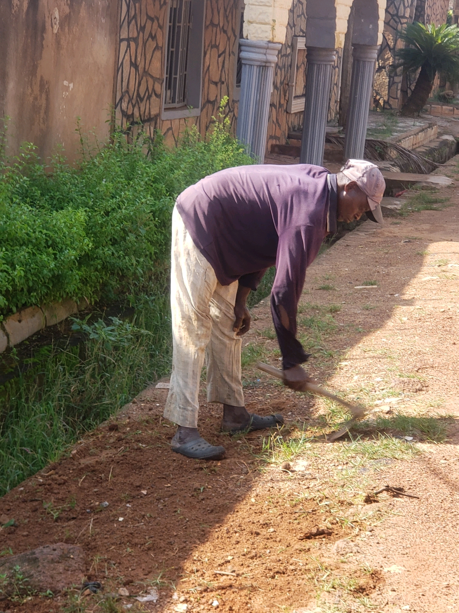 A person is gardening in the city of Sabon Tasha, Nigeria. The person is wearing a purple long-sleeved shirt, light-colored pants, a light-colored cap, and dark clogs. They are holding a hoe and appear to be working on the soil. The environment includes a building with stone-like patterns on its exterior, decorative columns, lush green vegetation, and a dirt path. The ground is a mixture of soil and gravel. Sunlight casts shadows on the ground, indicating it is daytime.