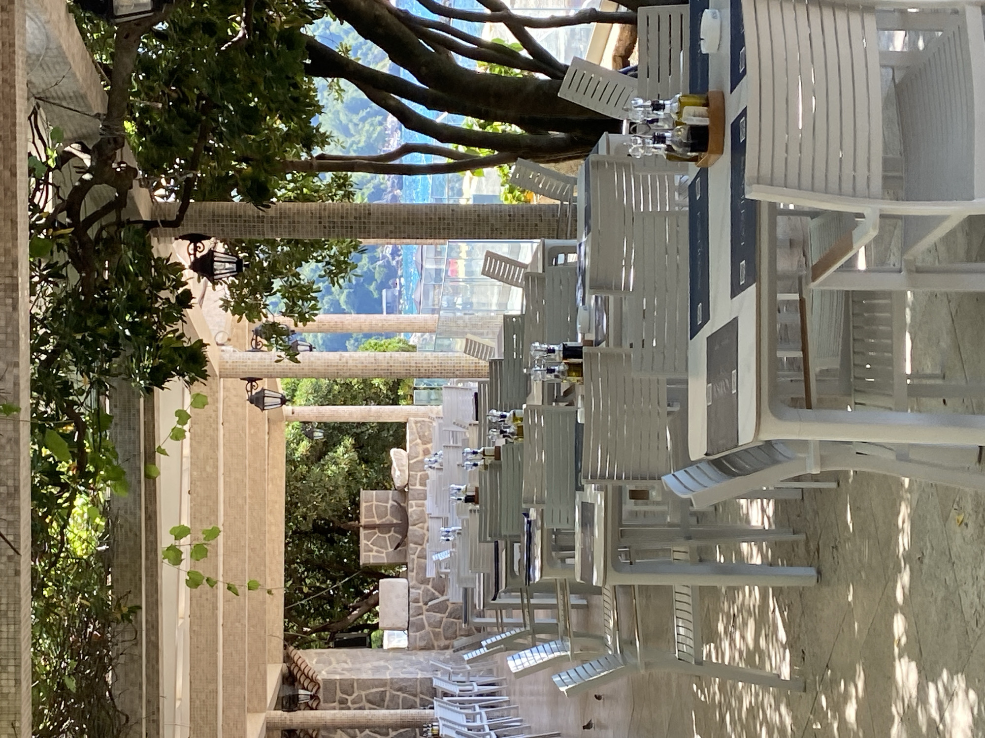 The image depicts an outdoor dining area of a restaurant in Prijevor, Montenegro, situated near a body of water, likely the Adriatic Sea. The scene is characterized by numerous white tables and chairs arranged under a covered patio, with overhead trellises supporting foliage that casts dappled shadows on the tiled floor.
The furniture is modern and simple, with slatted chairs and tables. On some tables, there are place settings, including placemats and cruets containing oil and vinegar, suggesting the restaurant is prepared for service or has recently served patrons. A few small birds are visible on the floor in the foreground, indicating a natural environment.
In the background, beyond a glass railing, a beach with umbrellas and people can be seen, along with the blue water of the sea and tree-covered hills. The architecture of the restaurant includes stone walls and pillars, and traditional black outdoor lanterns are attached to some of the support structures. The overall impression is one of a serene, coastal dining experience. There are no visible people dining or working in the immediate foreground or mid-ground.