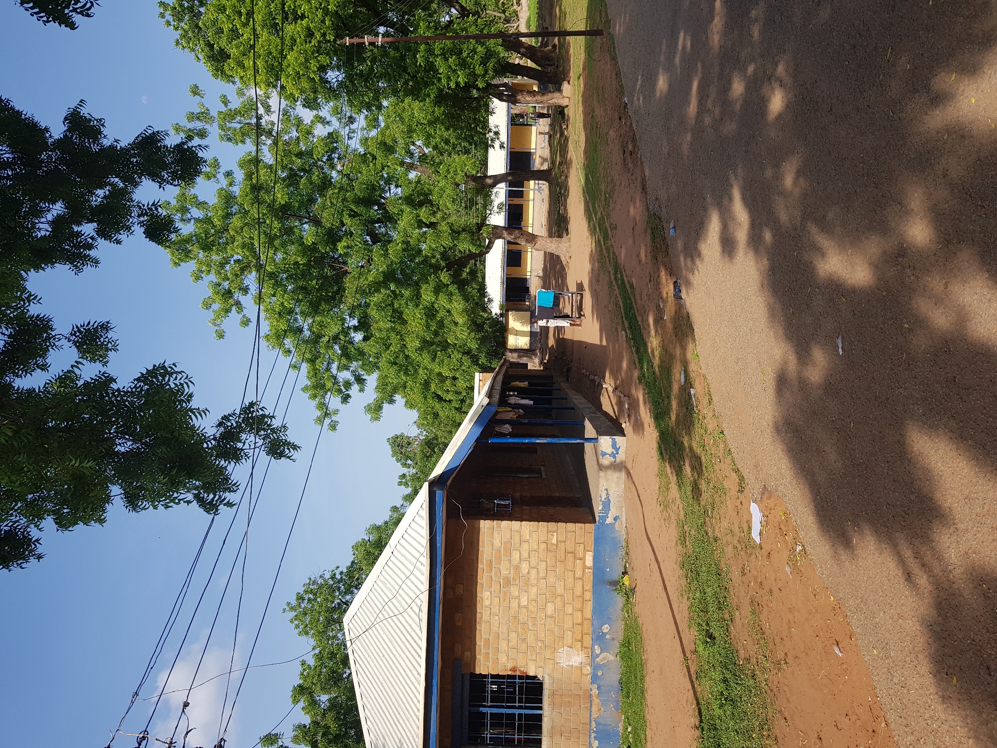 The image depicts a sunny day in Jimeta, Nigeria. A brick building with a corrugated metal roof is partially visible on the left. The building appears to be a school or a similar institution, with yellow-painted walls and blue accents along the roofline and supporting columns. Laundry is hung to dry on a line in front of the building.
In the background, a row of large, leafy green trees casts shadows on a paved road. There are more buildings visible behind the trees, also appearing to be part of the same institution, with yellow walls and blue trim. A person in white clothing is seated on a blue chair on the road, next to the building.
The overall scene suggests a typical day in a community or educational setting. The bright sunlight indicates it is likely midday or early afternoon. The presence of trees and laundry suggests a warm climate, common in Nigeria. The ground is a mix of dirt and sparse grass, with a paved road running alongside. Several pieces of litter are scattered on the ground and the road. Electrical wires are visible strung between poles against a clear blue sky, with a crescent moon faintly visible in the sky.