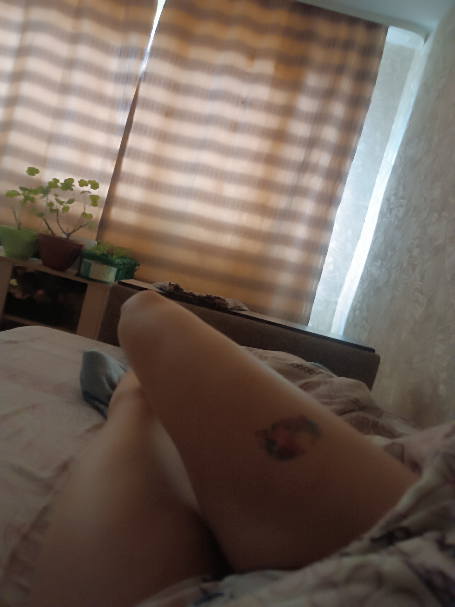 The image shows a person lying on a bed. A tattoo is visible on their leg. In the background, there is a window covered with striped curtains, as well as potted plants on a cabinet. The location is possibly Chaikovsky, Russia.
