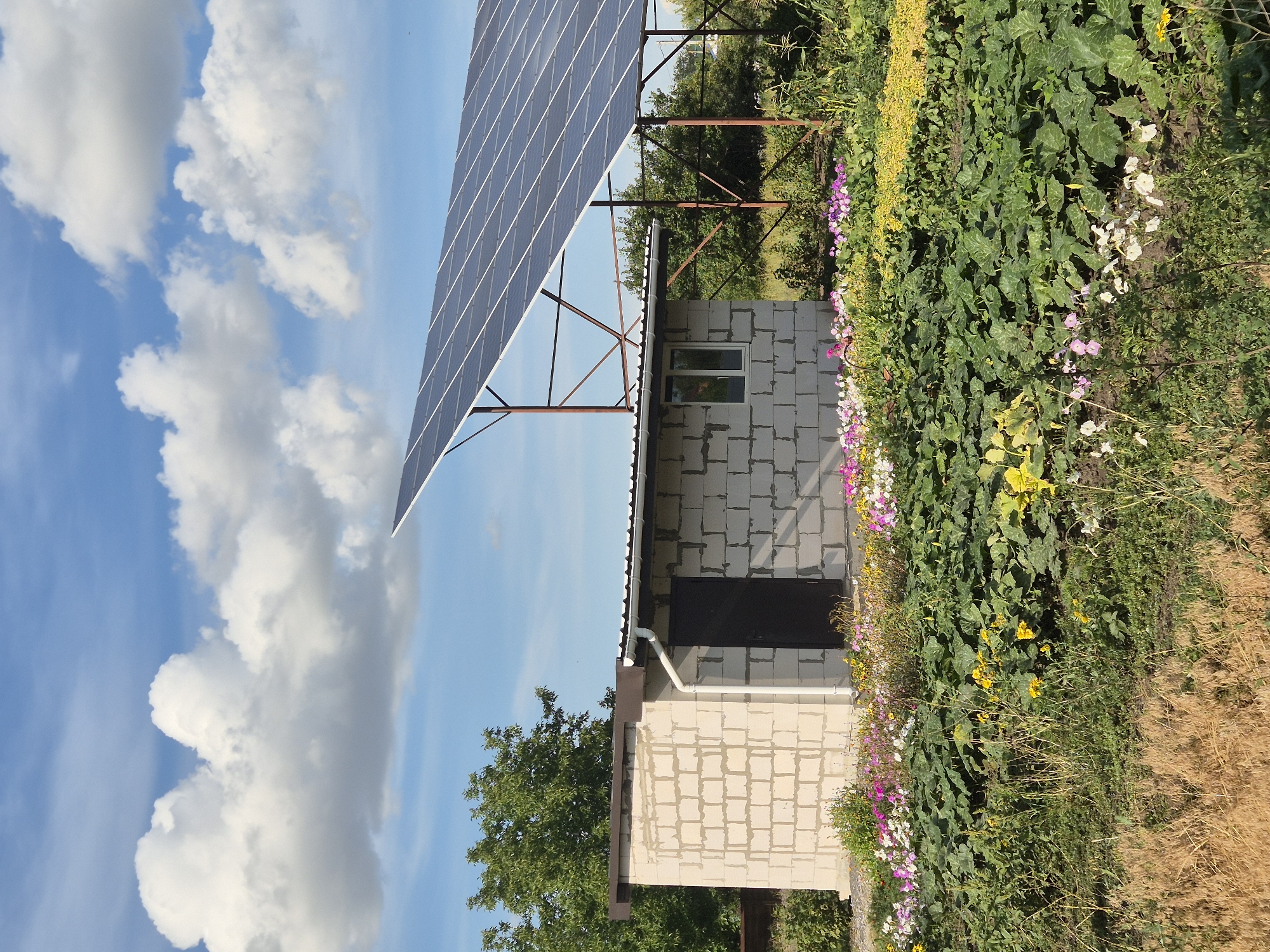 In Sozonivka, Ukraine, a small, light-colored cinder block structure with a dark door and a single window stands amidst lush greenery. A white downspout extends from the building's roof. Above and behind the structure, a large array of solar panels is mounted on a metal frame, angled towards the sky. The foreground is dominated by a vibrant garden filled with various plants, including blooming flowers in shades of pink, purple, white, and yellow, as well as large-leafed plants. The background features mature trees and a bright blue sky dotted with fluffy white clouds.