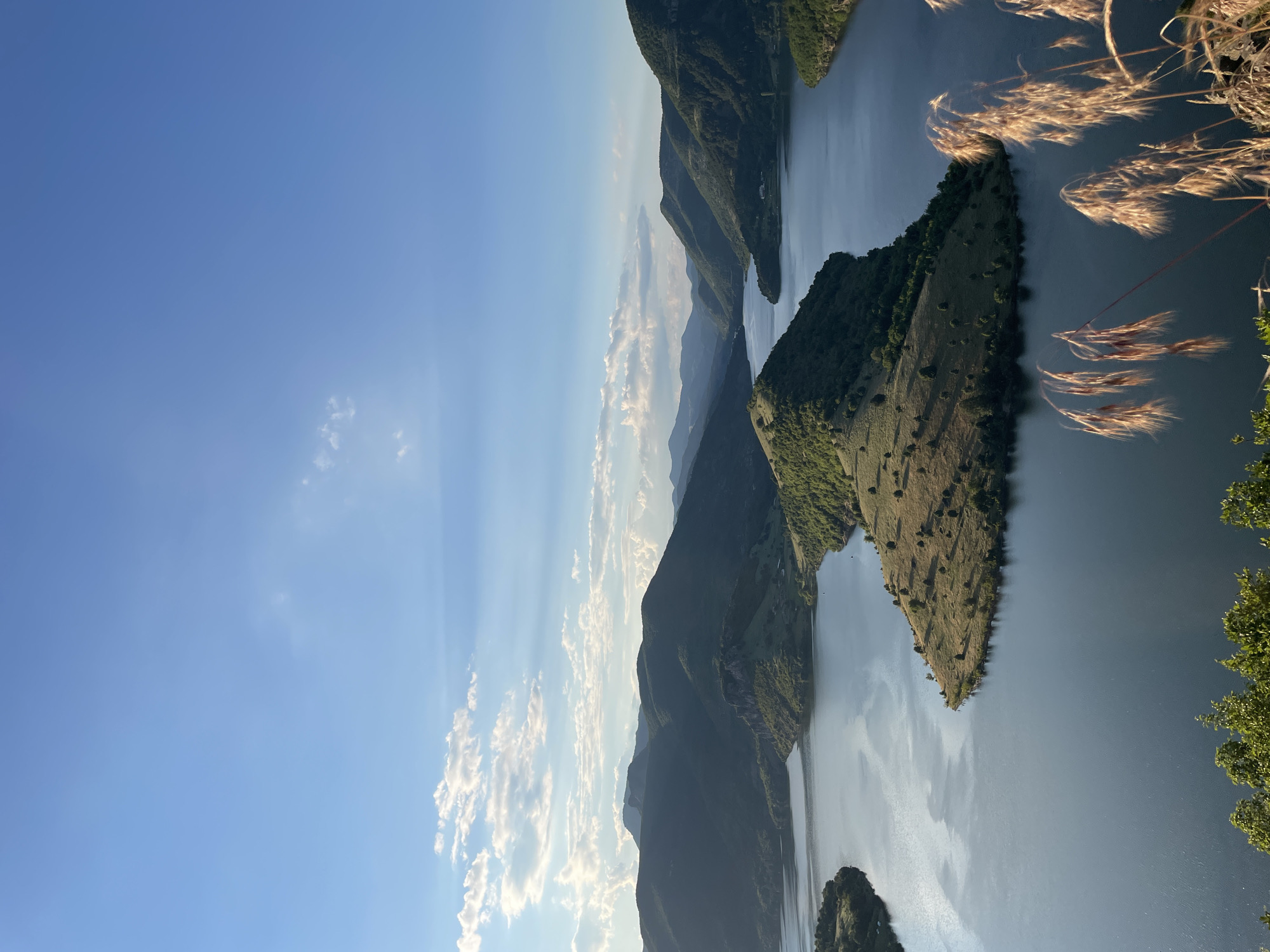 A vast, serene lake is nestled within a verdant valley, surrounded by undulating, tree-covered mountains. The sky above is a clear, bright blue, punctuated by scattered, wispy white clouds. A prominent, triangular-shaped island covered in grass and scattered trees juts out into the lake, its surface bathed in the warm glow of the sun. In the foreground, dry, feathery grass stalks are in sharp focus, their delicate forms catching the light. The overall scene evokes a sense of tranquility and natural beauty, likely captured from an elevated vantage point overlooking the Ribartsi Reservoir in Bulgaria.