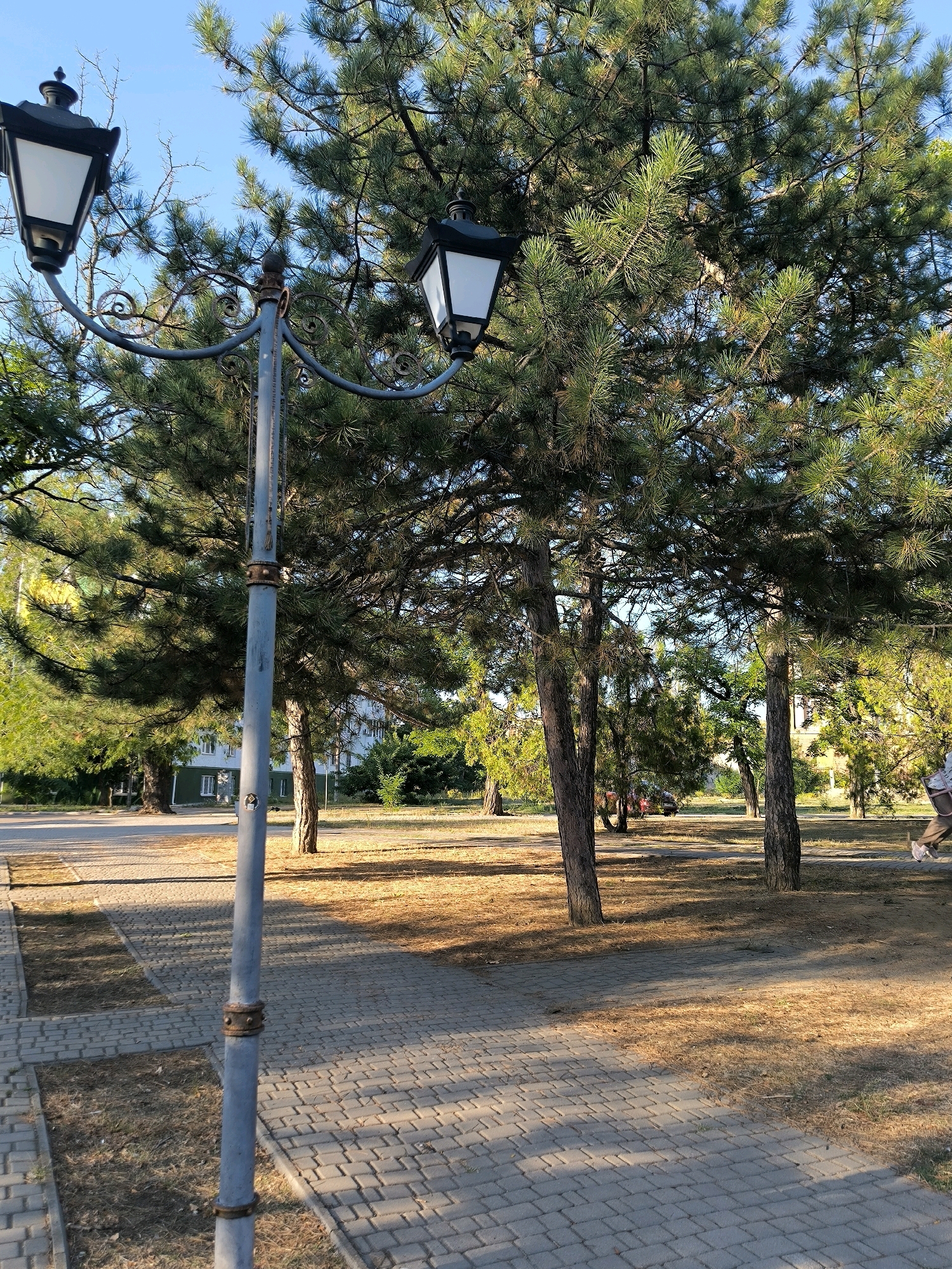 The image depicts a park with a paved walkway in the foreground. A grey lamppost with two ornate black lanterns stands prominently to the left, casting shadows on the walkway and the dry, brown grass surrounding it. Tall pine trees with dense green foliage dominate the background, interspersed with other trees and some bushes. In the middle ground, a road is visible, with a parked red car and what appears to be a white building behind it. The scene suggests a sunny day, with the warm sunlight creating dappled light and shadows across the park. A person is partially visible on the right side of the frame, walking away from the camera, their lower legs and feet in focus, suggesting movement. The overall impression is of a serene, late afternoon or early evening in an urban park. This scene could be located in Mykolaiv, Ukraine, a city known for its parks and green spaces.