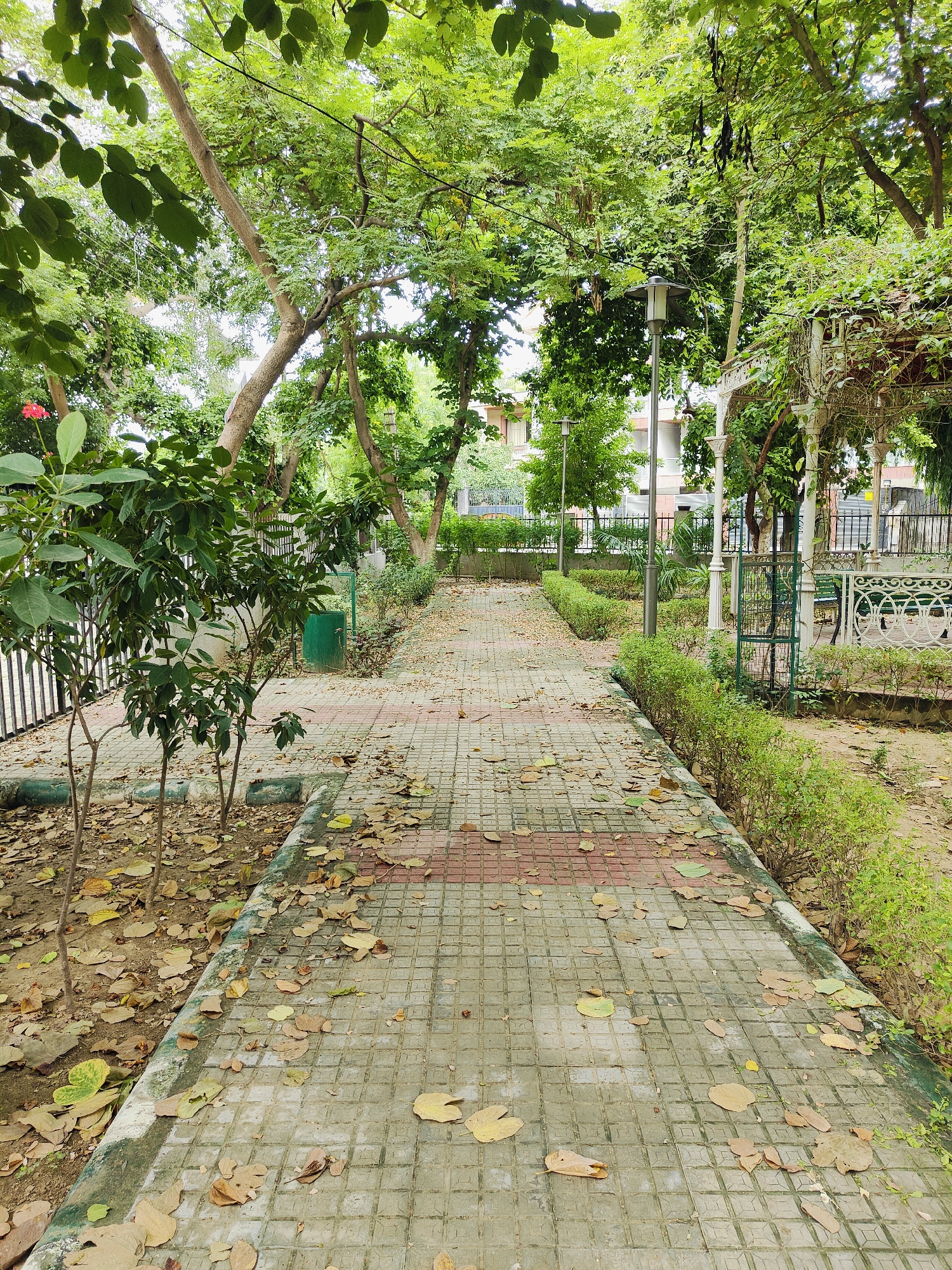 A paved pathway with scattered fallen leaves winds through a park in Gurgaon, India. The pathway is constructed of square concrete tiles with a reddish-pink stripe running down its center. To the left of the path, a black metal fence encloses young trees with green leaves and a single red flower. A green trash bin is visible behind the fence. To the right of the path, manicured green bushes line the walkway, leading towards a white ornate gazebo covered in vines. The gazebo has decorative latticework and pillars. Further in the background, trees with lush green foliage form a canopy overhead, with glimpses of buildings peeking through the leaves. Streetlights are strategically placed along the pathway. The scene depicts a well-maintained public park.