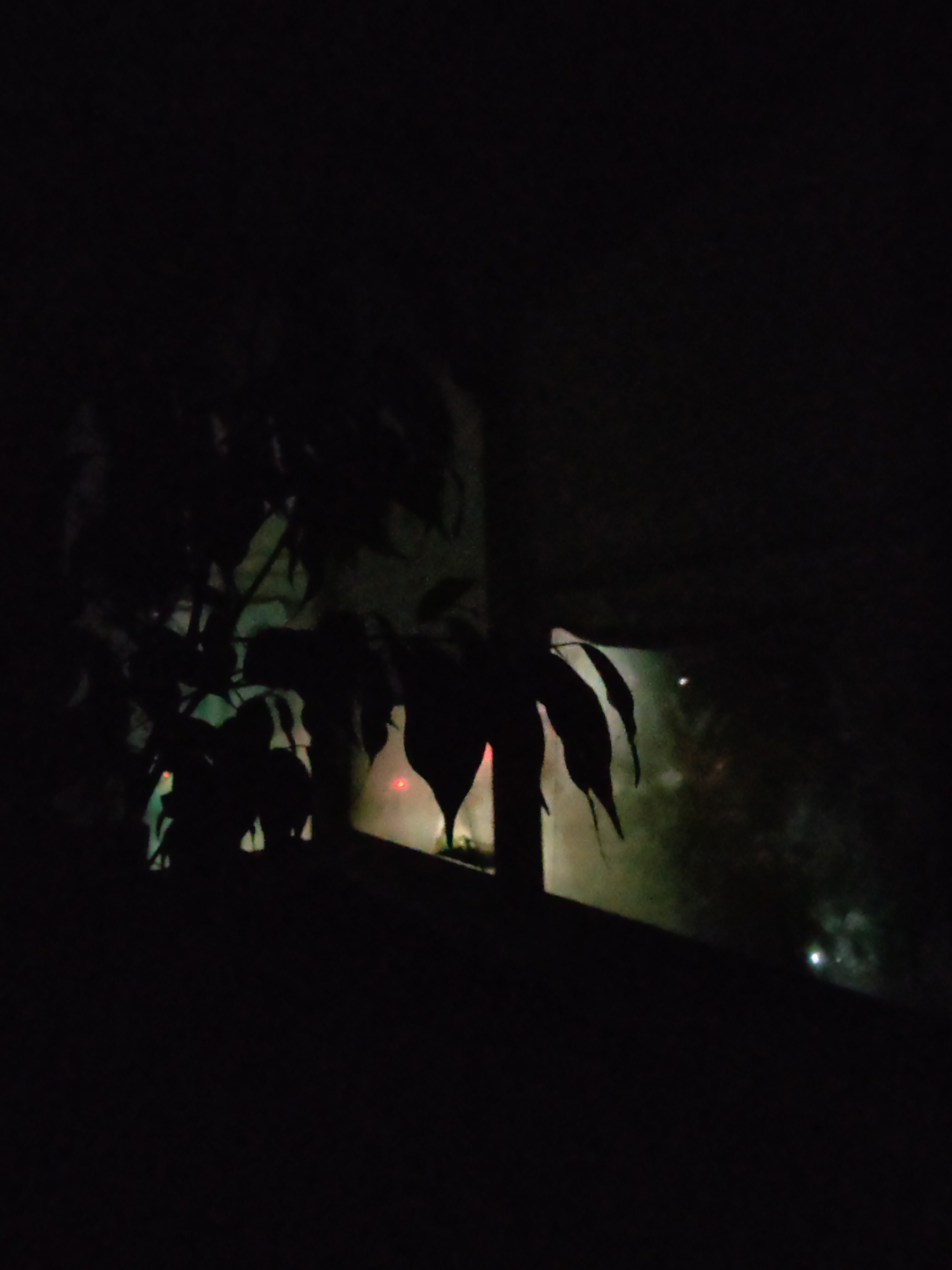 The image depicts a dark, silhouetted view of foliage against a dimly lit, hazy background. It appears to be a nighttime scene, possibly captured through a window. In the background, there are faint lights and some suggestion of structures, but they are indistinct due to the low light and atmospheric conditions. There are no discernible people, specific objects, or clear actions taking place. The overall impression is one of a muted, nocturnal environment. This image does not contain enough specific details to ascertain its location within Izhevsk, Russia, or any particular urban setting.