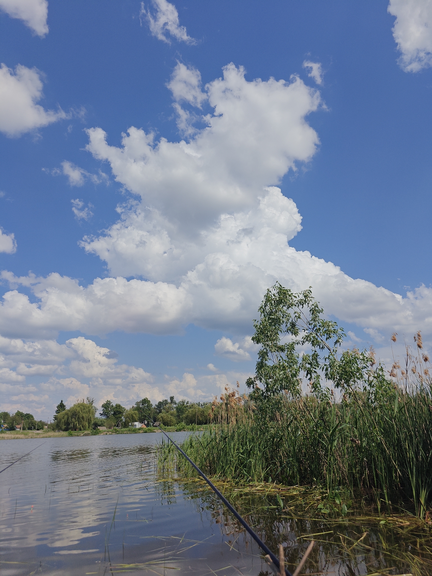 The image depicts a waterscape, likely a lake or river, under a blue sky with scattered white clouds. Reeds and green foliage grow along the water's edge on the right side. A few trees are visible in the distance on the opposite bank. Fishing rods extend into the water from the foreground. Based on the presence of Bobrivnyk, Ukraine in the prompt, it is reasonable to infer this scene is located in or around this area.