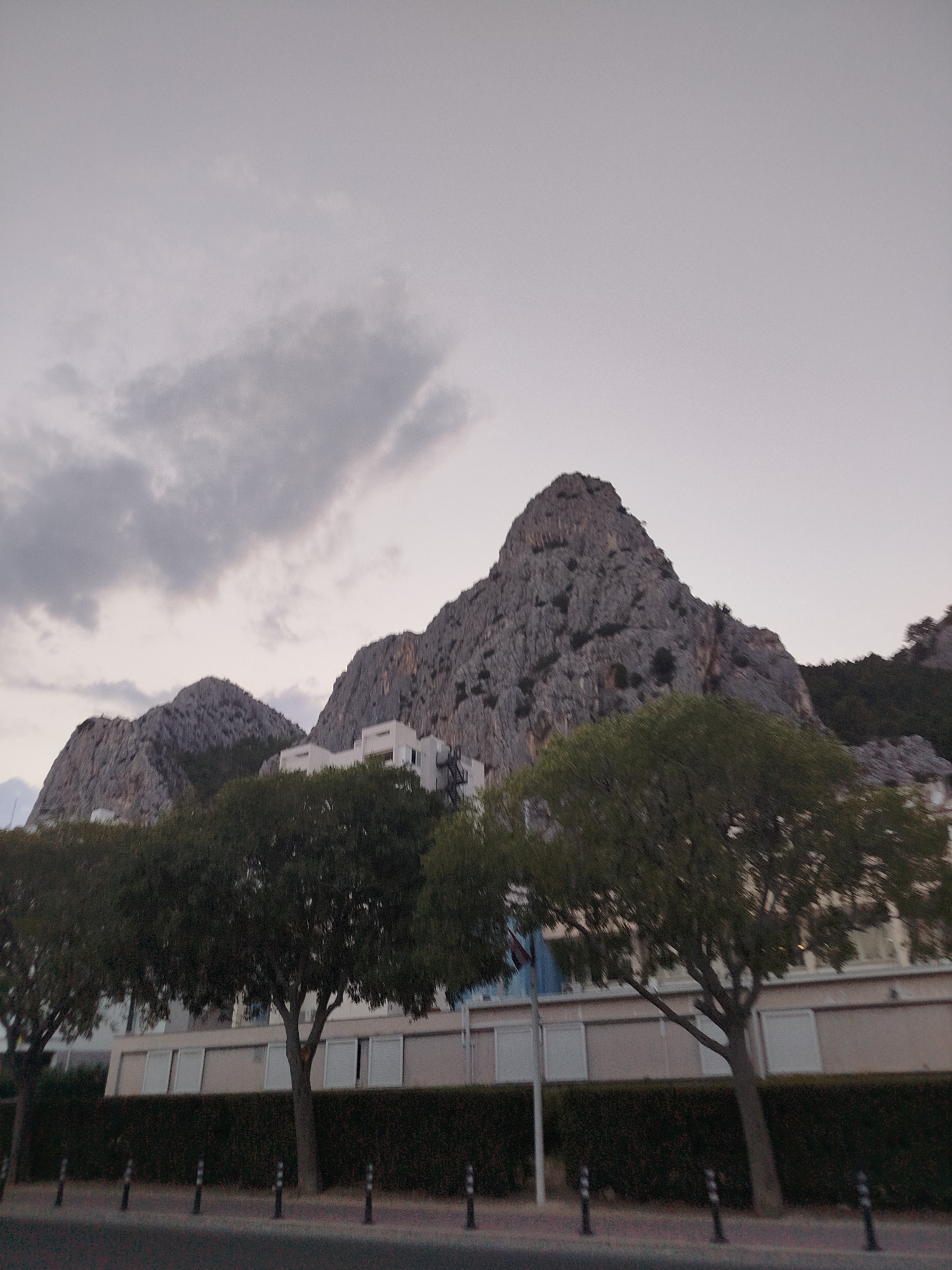 This image depicts a view of the Mosor mountain range as seen from the city of Omiš, Croatia. In the foreground, a row of trees with dark green foliage lines a street. Behind the trees, a long, light-colored building with rows of windows is visible, with some windows covered by white shutters. A dark green hedge runs along the front of the building. Several bollards are spaced along the edge of the street. The main subject of the image is the imposing, rocky Mosor mountain range in the background. The mountains are characterized by their rugged, grey surfaces with visible rock formations and sparse vegetation. The sky above is overcast with pale grey clouds. The overall scene suggests an urban or semi-urban environment at the foot of a significant natural landmark.