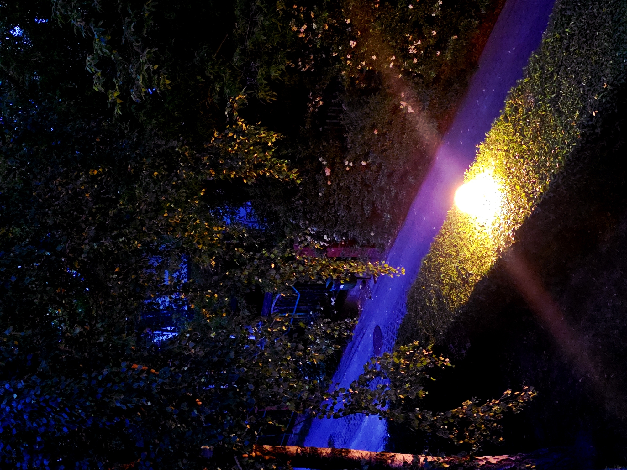 The image shows a narrow pathway at night, likely within a park or green space in Unknown, Unknown. The pathway is illuminated by a bright lamppost, which casts a strong yellow glow. The path's edges are lined with dense foliage, suggesting a well-maintained garden or park area. In the foreground and background, trees and bushes obscure the view, creating a sense of enclosure. A blue-ish light may be seen coming from a building obscured behind trees. A swing and ladder are also visible. The overall ambiance is serene and shadowy.