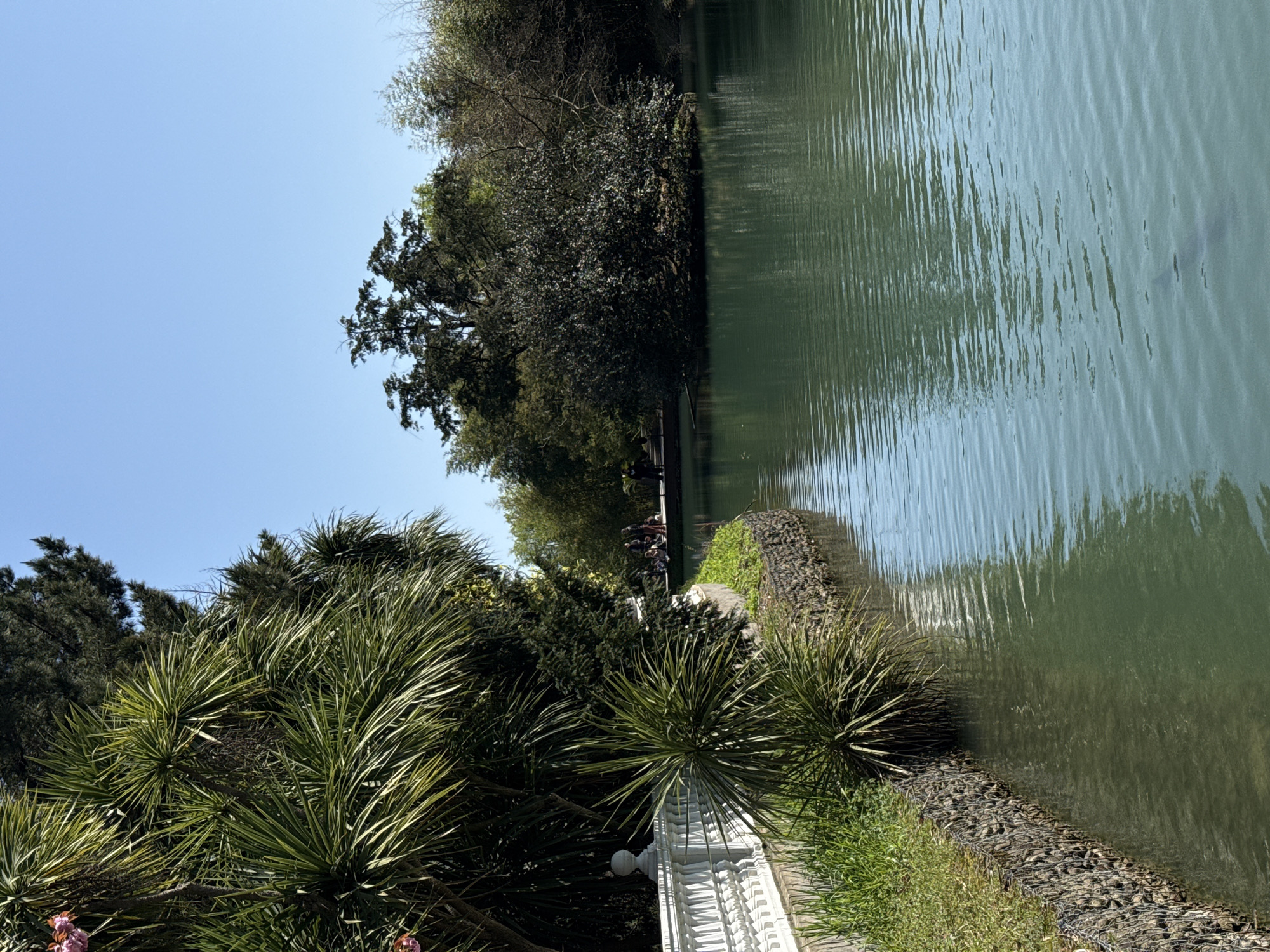 A view of a waterway with a paved path and vegetation to the left, and a line of trees on the other side. The water is calm with faint ripples on the surface, suggesting a gentle breeze. The walkway has a decorative white railing. The image is oriented with the sky to the top left. This could be within the city of Sirius, Russia, although there are no objects or landmarks to positively identify the location. There are people on the path, but they are too far away to discern details.