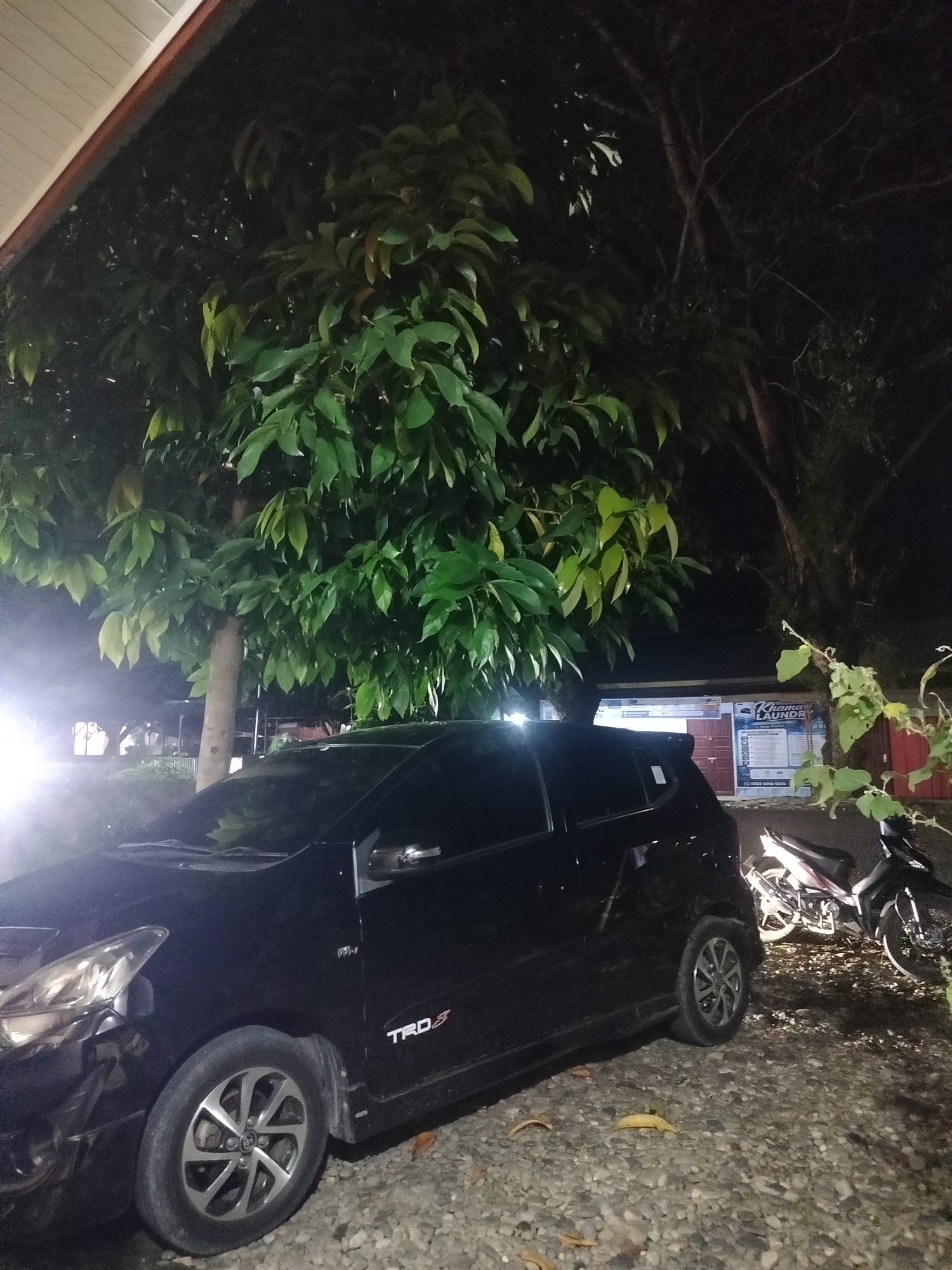 The image shows a black car parked on a gravel lot at night, with a motorcycle visible behind it. Trees with dense green foliage are in the background, and part of a building with signage that reads "KHAMA LAUNDRY" is visible. The building has red doors and white and blue signage with text in Indonesian. The car's headlights are on and illuminating a portion of the scene. A bright light is also visible to the left of the car, possibly from a street light or an artificial light source. The overall impression is of a nocturnal scene in an outdoor area, likely a parking lot or the vicinity of a business.
