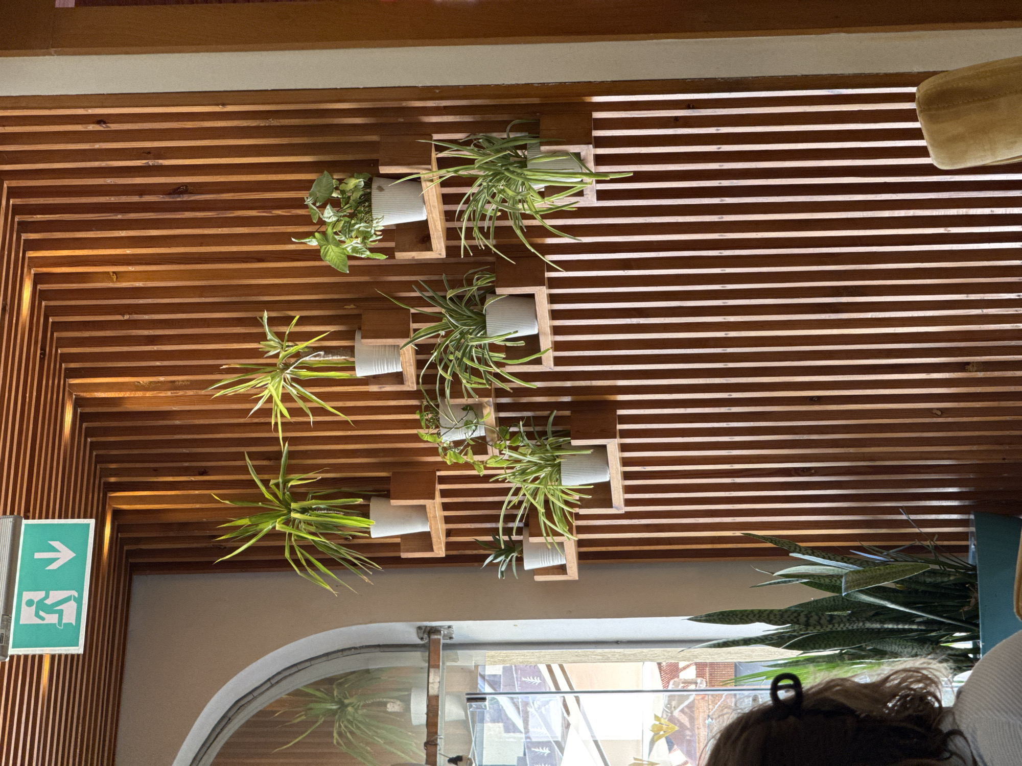 An indoor scene is depicted, featuring a decorative wooden wall with vertical slats. Several potted plants are arranged on staggered wooden shelves attached to this wall. In the upper left corner, a green exit sign with a running person and downward arrow is illuminated. To the left of the wooden wall, an arched window or doorway with a reflective surface is visible, showing a partial reflection of a plant. In the lower left of the image, a person's head and shoulders are seen from behind, with their hair pulled back by a dark hair accessory. In front of this person, a large snake plant in a teal pot is visible. The lighting suggests an interior space with artificial light sources creating highlights and shadows on the wooden slats and plants.