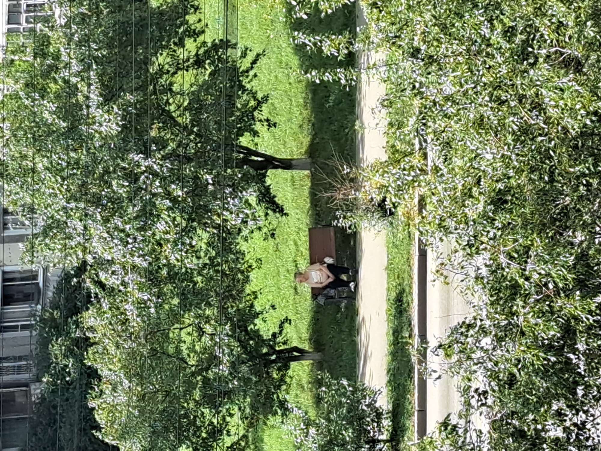 An elderly woman is sitting on a park bench, looking to her right. She is wearing a light-colored sleeveless top and dark pants. A dark bag is placed on the bench to her left, and a white bag is on the ground next to the bench. The bench is brown and appears to be made of wood. She is positioned in front of a grassy area with several trees casting shadows. A sidewalk runs in front of the bench. In the background, there is a building with multiple windows, and a street or road is visible below the sidewalk. This scene is likely located in a residential area of Irkutsk, Russia, given the architectural style of the building and the presence of a park bench and trees. The lighting suggests it is daytime, with the sun shining from the right.