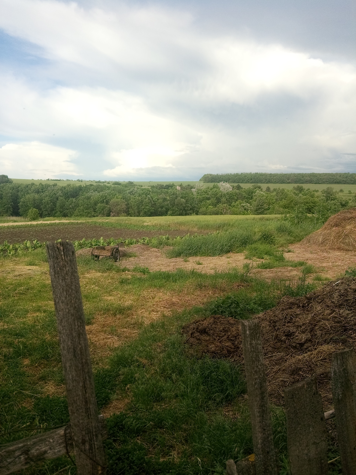 This is a vertical, eye-level, medium shot of a rural landscape in Zelenyi Hai, Ukraine. The foreground is dominated by a weathered wooden fence made of rough-hewn posts. Behind the fence, the ground is covered in a mix of green grass and dry, yellowish straw. To the right, a large pile of dark brown manure or compost is visible, with a smaller pile of lighter brown straw next to it.
In the middle ground, a small, old-fashioned cart with two spoked wheels sits on a patch of dry straw. Adjacent to the cart is a tilled field with rows of young green plants, likely tobacco. Further back, a dense line of lush green trees forms a natural horizon. Beyond the trees, rolling hills stretch into the distance, under a dramatic sky filled with heavy, gray and white clouds. The overall impression is one of a working farm in a serene, natural setting.