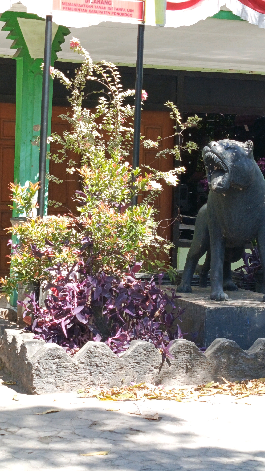 The image captures an outdoor scene in Ronowijayan, Indonesia, featuring a black statue of a snarling animal, possibly a dog or panther, positioned in front of a building. To the left of the statue, a lush plant with green and pink leaves grows within a decorative stone planter. The statue stands on a concrete base. Behind the plants and statue, a wooden door is visible on the building, which is painted green on the left side. A white sign with red lettering is attached to a pole in front of the building, and a red and white flag or banner hangs from the top right of the frame. The ground in the foreground is paved with stone, and fallen leaves are scattered around the base of the planter and statue. The lighting suggests it is daytime, with strong sunlight casting shadows.