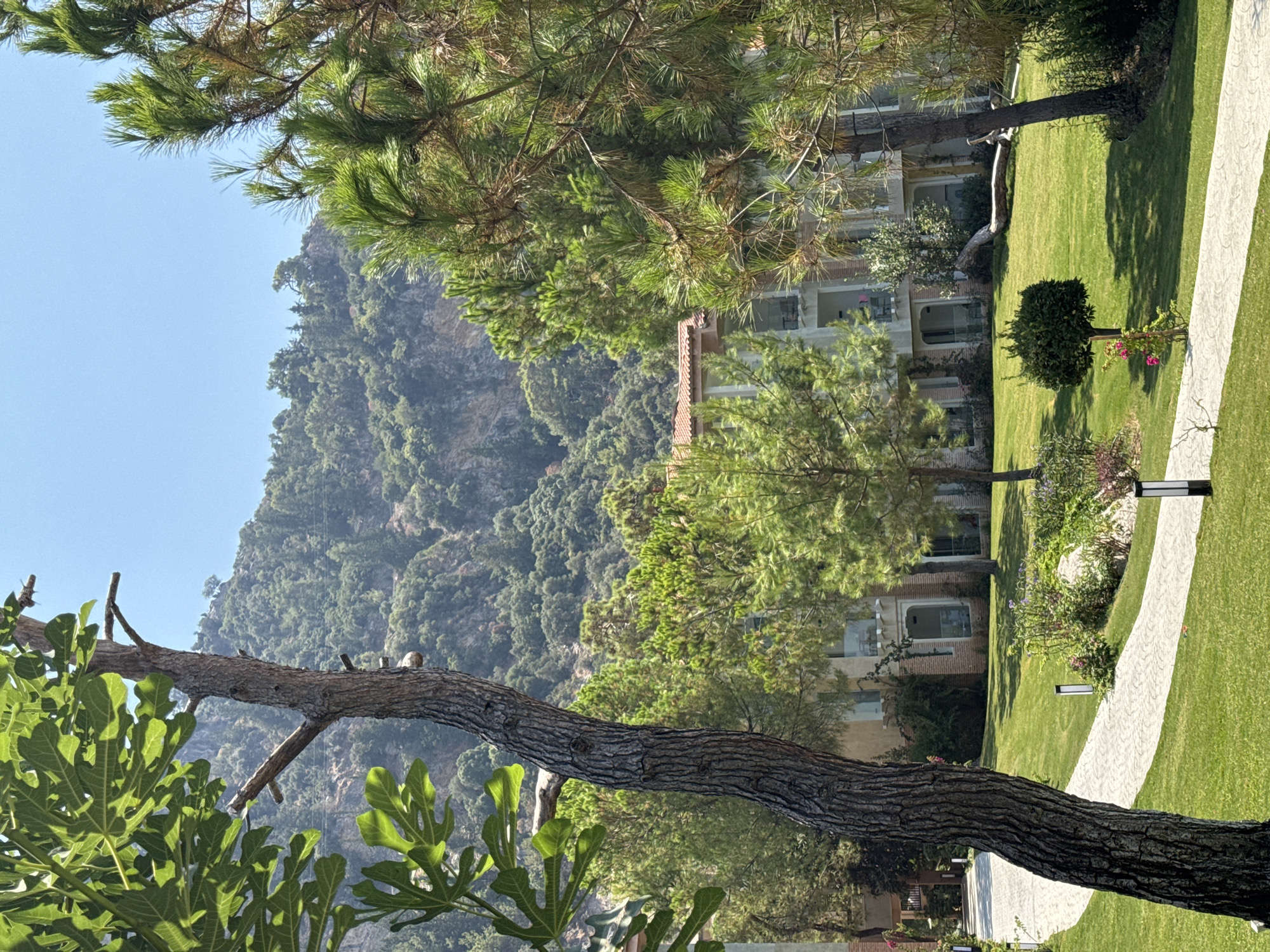 The image depicts a resort or hotel property in Fethiye, Turkey, with a view of a mountainous landscape in the background. In the foreground, a winding paved pathway meanders through a lush green lawn. Along the pathway, modern, rectangular black and white bollard lights are spaced out. To the left of the pathway, a large tree with rough bark and broad green leaves stands prominently, partially obscuring the view of a multi-story building.
This building, characterized by its light-colored facade, balconies with railing, and a terracotta-tiled roof, appears to be part of the resort. Various trees, including pine trees with their characteristic needles, are scattered throughout the property, some framing the building and others situated on the lawn. A small, rounded ornamental tree is also visible on the grass, with a few pink flowers near its base. A large, fallen log lies horizontally on the lawn behind this tree.
The mountain in the background is covered with dense vegetation, primarily trees and shrubs, and shows rocky outcrops. The sky is clear and blue, indicating a sunny day. The overall impression is a well-maintained outdoor area of a hotel or resort, likely designed for relaxation and enjoying the natural surroundings of Fethiye. There are no people visible in the image.