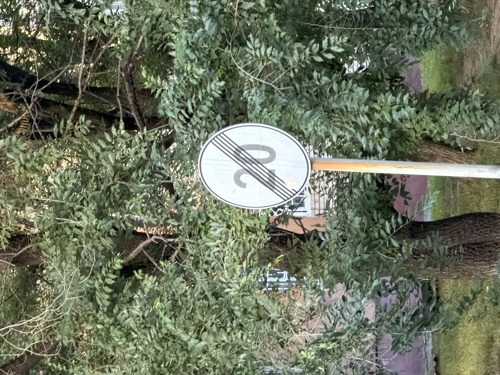 A speed limit sign showing "20" with diagonal lines through it is positioned next to a tree with lush green foliage. The sign is circular with a white background and a black border. Diagonal black lines are superimposed over the number "20". The sign is mounted on a metal pole, which is rusted in places. The background consists of dense green leaves and branches of the tree, obscuring a building with windows and a brick facade. The ground appears to be covered with grass and dirt. This scene is located in Khabarovsk, Russia.