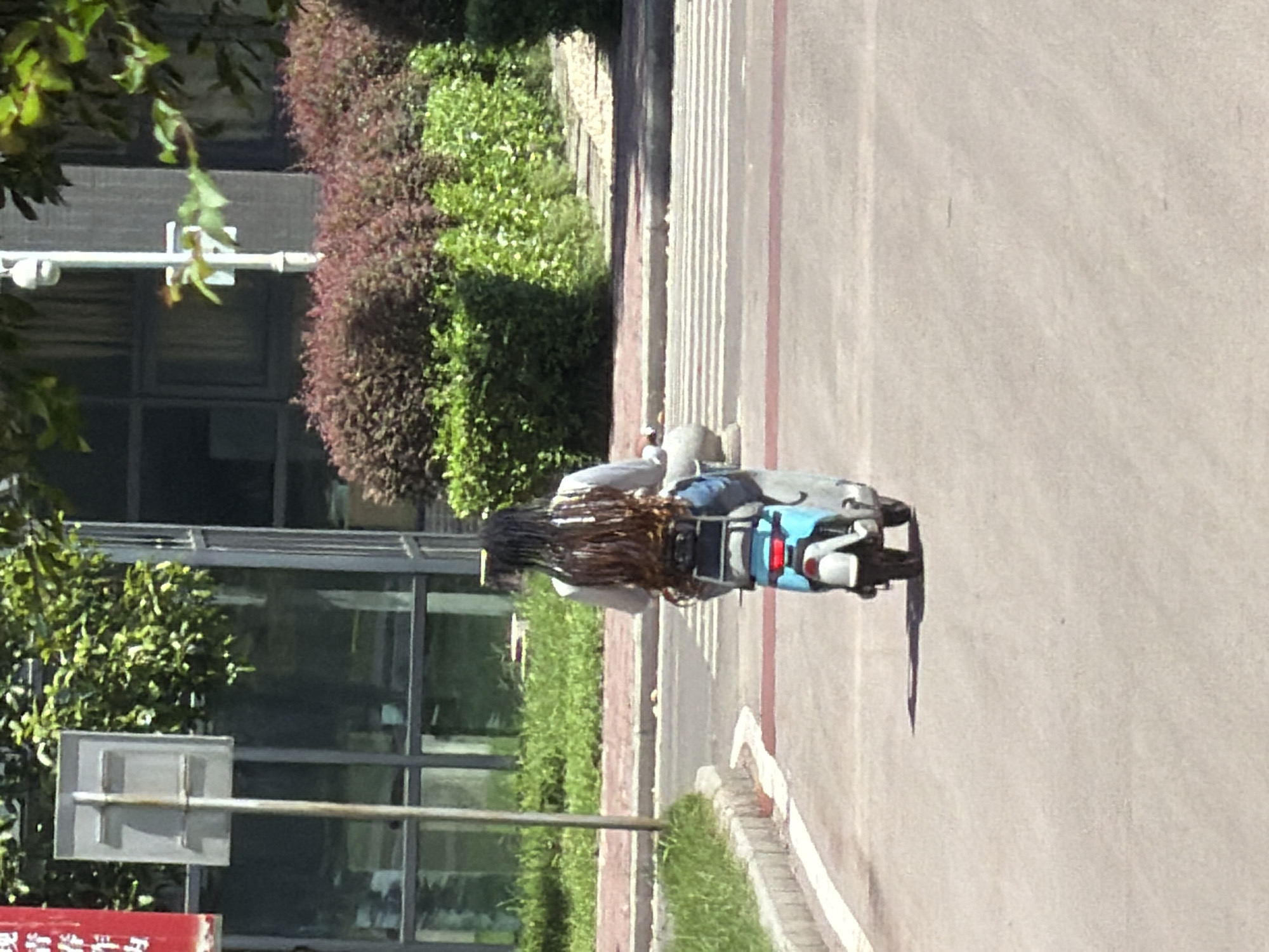 A person with long, braided hair is riding a light blue and white electric scooter on a paved road. The person is wearing a light-colored shirt and blue pants, and their hair extends down their back. The scooter has a white seat and a blue rear panel with a taillight. The scooter is positioned at a slight angle, facing away from the viewer. The road has white lines indicating a crosswalk in the background. To the left of the road, there is a sidewalk with a curb and grass. Behind the sidewalk, there are trees and a building with glass windows. A street sign is visible on a pole to the left. In the distance, there are bushes and more greenery. The scene appears to be in an urban or suburban outdoor environment, likely in Jiangjin, China, given the context of the request.