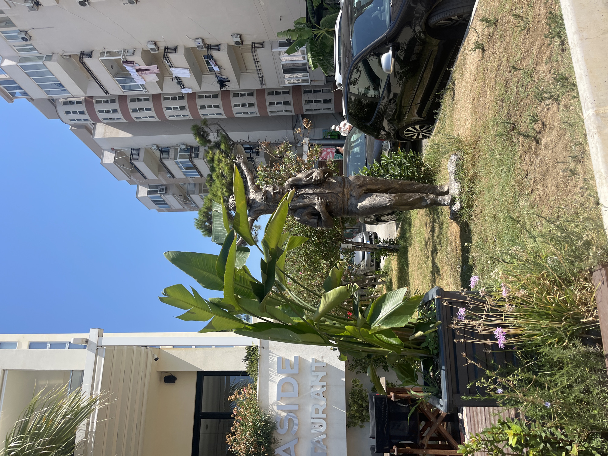 A bronze statue of a man holding a smaller figure on his shoulders stands in a grassy area in front of a building with the words "SEASIDE RESTAURANT" visible. The man in the statue is wearing a jacket and trousers, with his arms extended outwards. Behind the statue, cars are parked on a street. In the background, there are several multi-story apartment buildings with balconies, some with laundry hanging out to dry. A large potted plant with broad green leaves is positioned to the left of the statue. The sky is clear and blue. The scene appears to be outdoors on a sunny day.