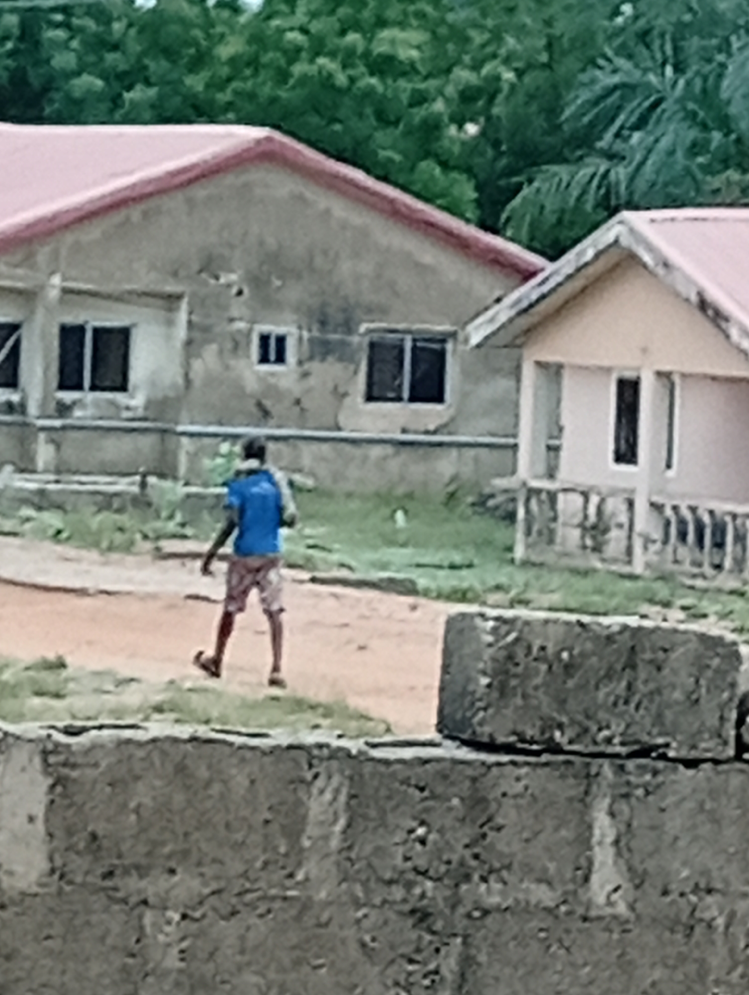 The image depicts an individual walking on a dirt path in Adankolo, Nigeria. The person is wearing a blue shirt and patterned shorts, with something white draped around their neck. The person is wearing sandals and walking on an unpaved dirt road. Two buildings with red roofs are visible in the background. The building on the left has two windows and a smaller square window. The building on the right has one visible window. Behind the buildings is lush green vegetation, possibly trees. In the foreground is a concrete wall constructed of grey cinderblocks. The environment appears to be a residential area or a neighborhood with simple houses.