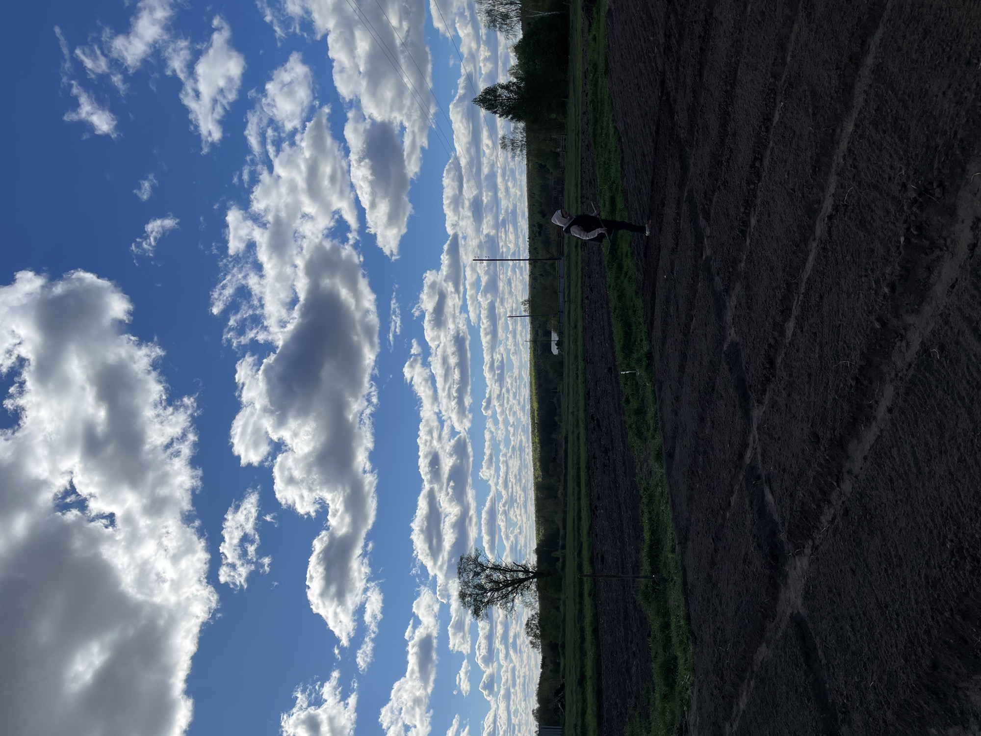 The image depicts a landscape in Балдейка, Russia, featuring a field with dark, tilled soil occupying the right side of the frame. A person in dark clothing and a white head covering is visible near the edge of the field. A strip of green vegetation separates the field from a line of trees in the background. Power lines stretch across the upper portion of the frame. The left side of the image shows a blue sky filled with scattered white clouds.