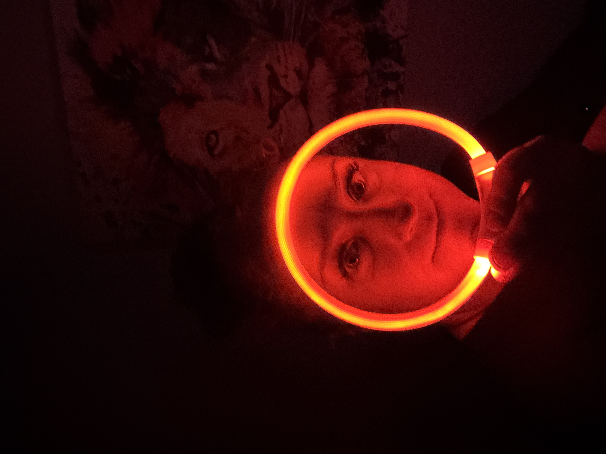 This media file captures a close-up, low-light scene, likely indoors in Chaikovsky, Russia. The primary subject is an individual whose face is partially illuminated and framed by a vibrant, orange-yellow glowing circular object, possibly a light-up collar or a novelty ring. The person holds this object with their right hand, which is also bathed in the warm, reddish light.
The individual's left eye, nose, and mouth are visible, displaying a slight smile and looking directly towards the camera. The intense glow from the object casts strong shadows and highlights on their features. In the dark background, behind the person's head, faint outlines of what appears to be a drawing or picture of an animal, possibly a lion or a large cat with prominent eyes, can be discerned. The scene is enveloped in darkness, emphasizing the artificial light source. No visible text is present in the image.