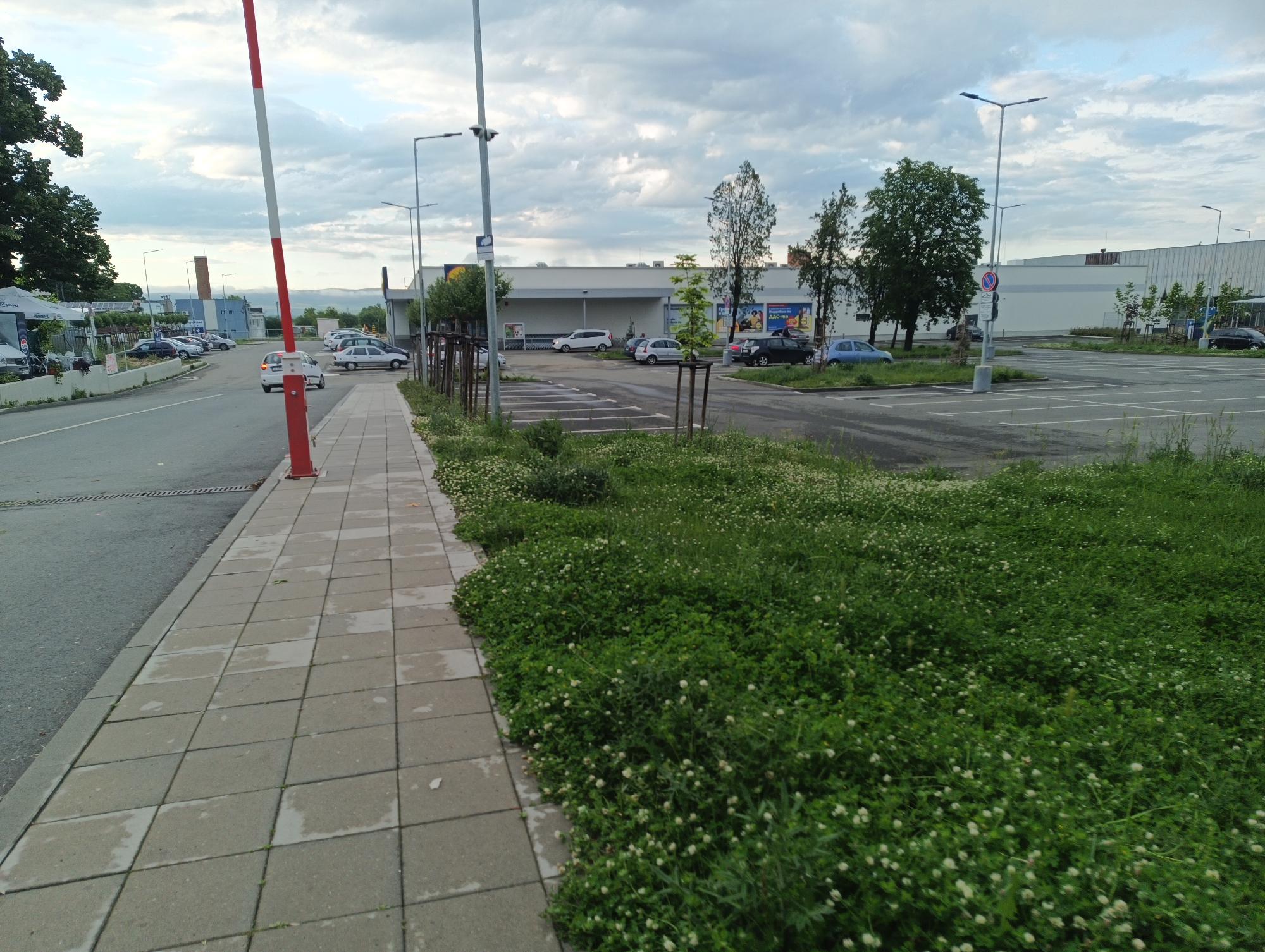 This image captures a wide view of a commercial area, likely a supermarket entrance or parking lot, under an overcast sky. The setting is an urban or suburban environment in Karnobat, Bulgaria.
**Subjects:** The primary subjects include a large commercial building, identified as a Lidl supermarket, a spacious asphalt parking lot with white demarcation lines, and several parked cars of various models and colors. A red and white barrier pole stands prominently in the foreground on the right, marking an access point. A paved concrete-tiled sidewalk runs along the left side of the frame, adjacent to a road. To the right of the sidewalk is a wide grassy verge covered densely with green clover and small white flowers. Numerous tall streetlights with multiple fixtures are spaced throughout the area. Trees, both deciduous and evergreen, are scattered around the parking lot and in the distance. No people are visible in the scene.
**Activity or event taking place:** No specific activity or event is in progress; the image portrays a static outdoor scene of a functional commercial space. The parked cars suggest that customers are either inside the store or have recently visited.
**Notable details:** The time of day appears to be daytime, possibly late afternoon or early evening, given the diffused light under a heavily clouded sky. The weather is overcast, with a mix of grey and white clouds overhead. Some patches on the sidewalk appear damp, indicating recent precipitation. Location cues include the distinctive Lidl logo on the main building and a "No Parking/Stopping" sign in the lot. The scene has a neutral, functional ambiance typical of a retail park.
**Visible text:** The most clearly legible text is the "Lidl" logo on the large commercial building. A blurry poster or advertisement near the Lidl building shows indistinct text, with "AAC-ne" partially visible. A sign in the far left background also shows the word "espresso".